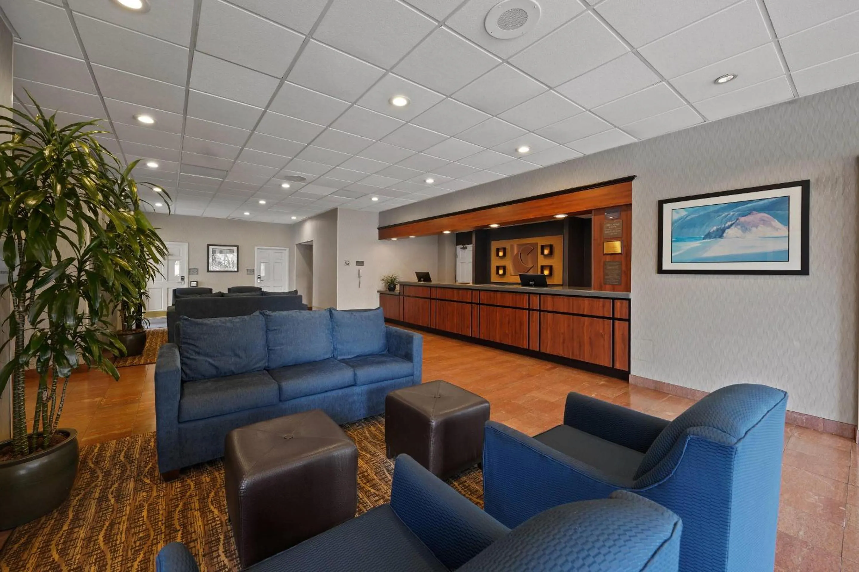 Lobby or reception in Comfort Inn By the Bay