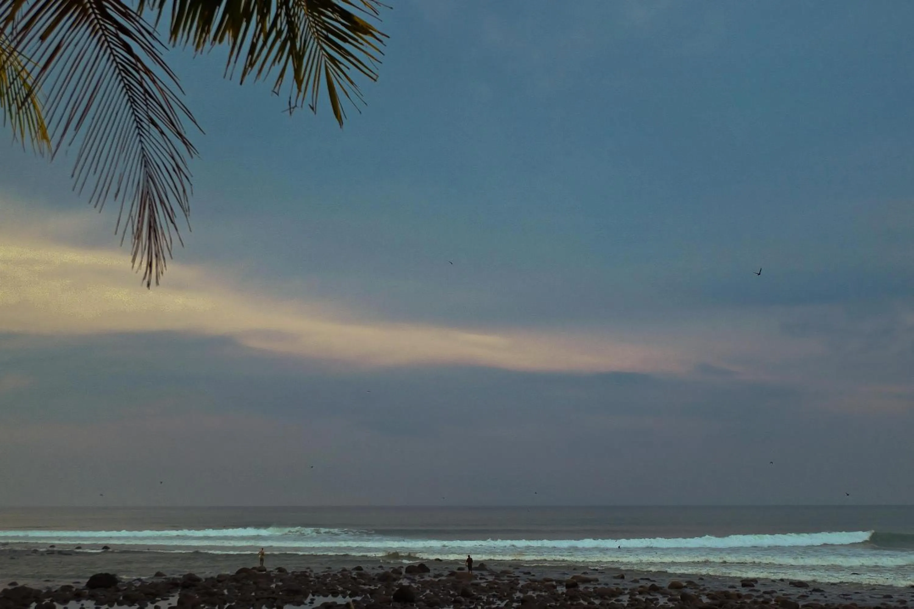 Beach in Umadewi Surf & Retreat