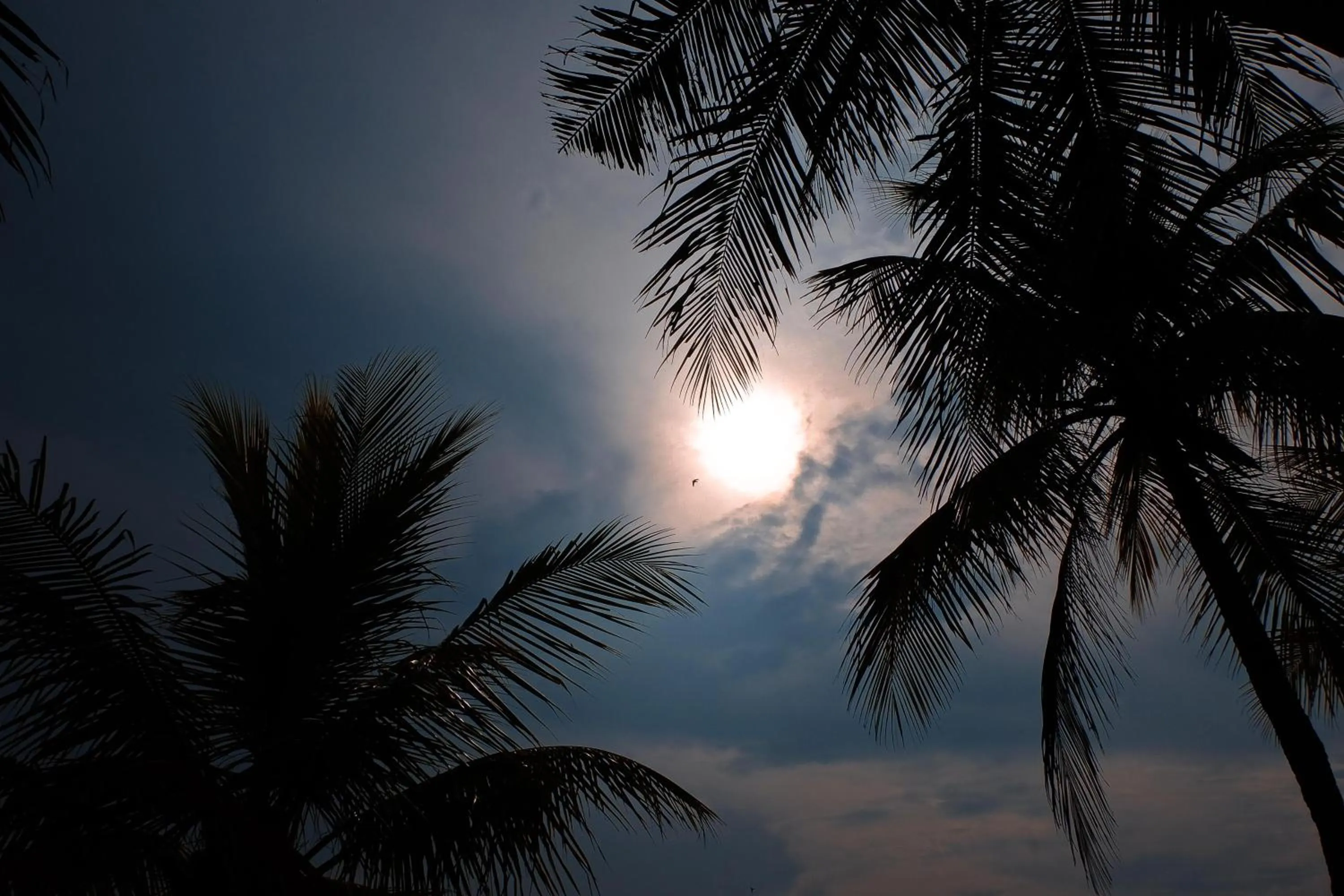 Beach in Umadewi Surf & Retreat