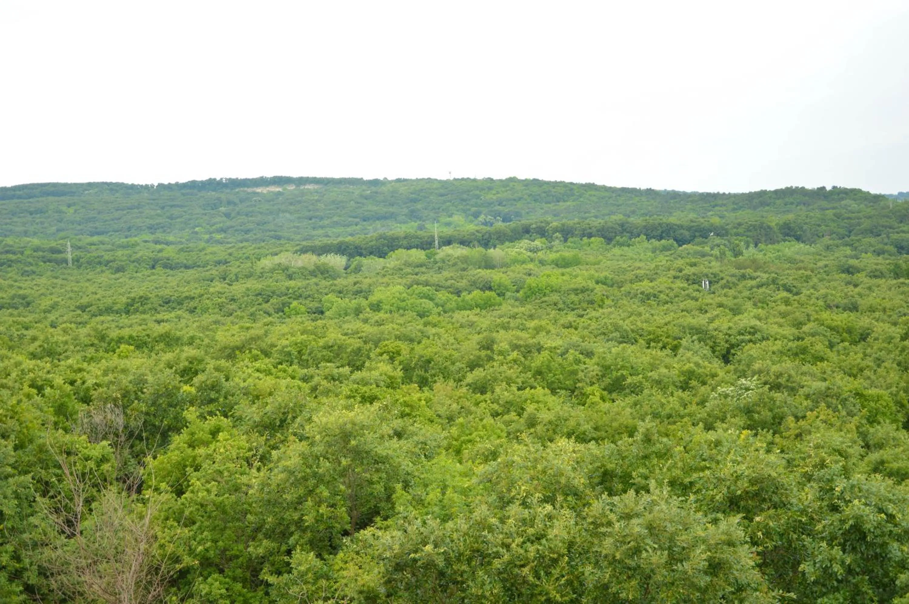 View (from property/room) in Park hotel Bellevue
