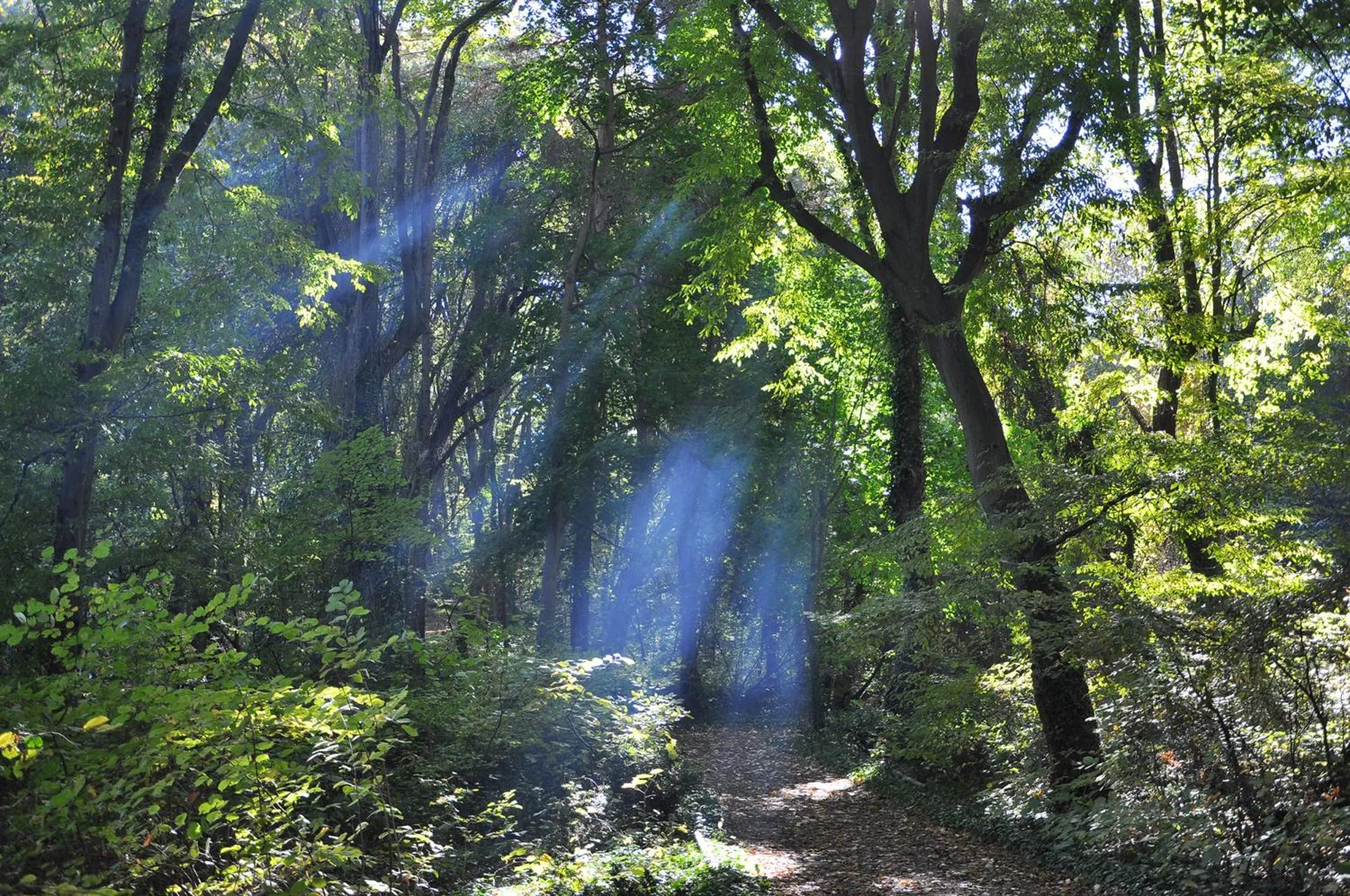 Spring in Park hotel Bellevue