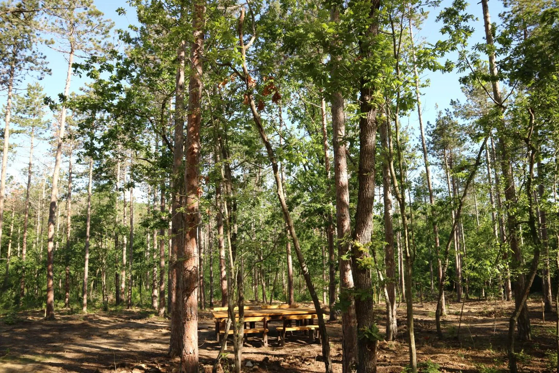 Spring in Park hotel Bellevue