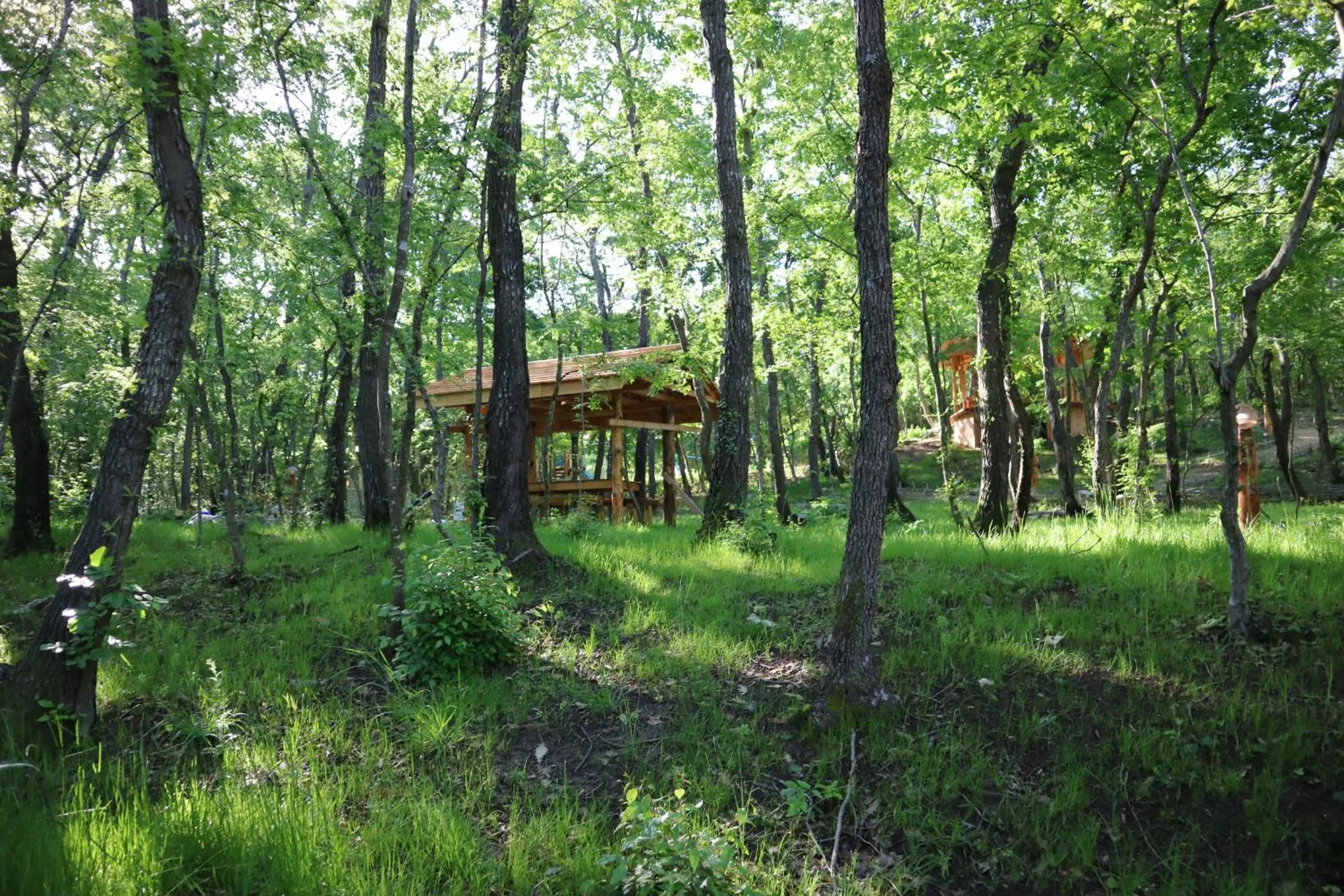 Garden in Park hotel Bellevue