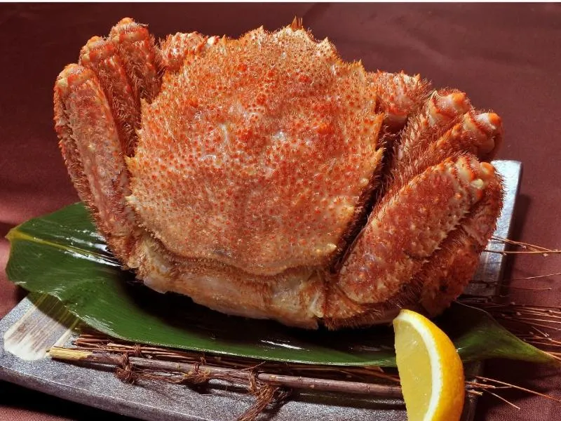 Restaurant/places to eat in Kitaguni Grand Hotel