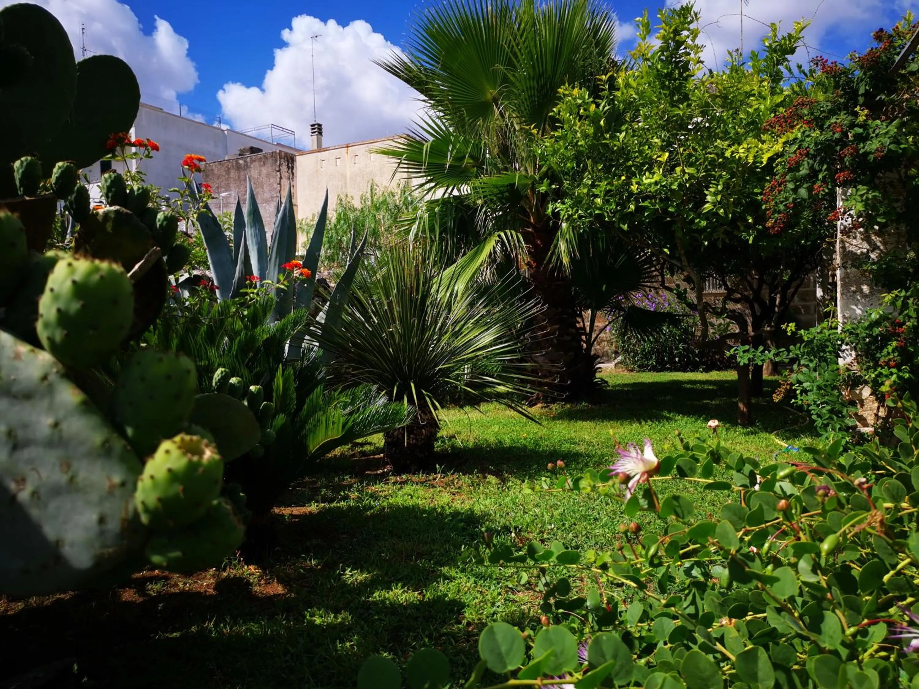 AlSalento Villa De Donno