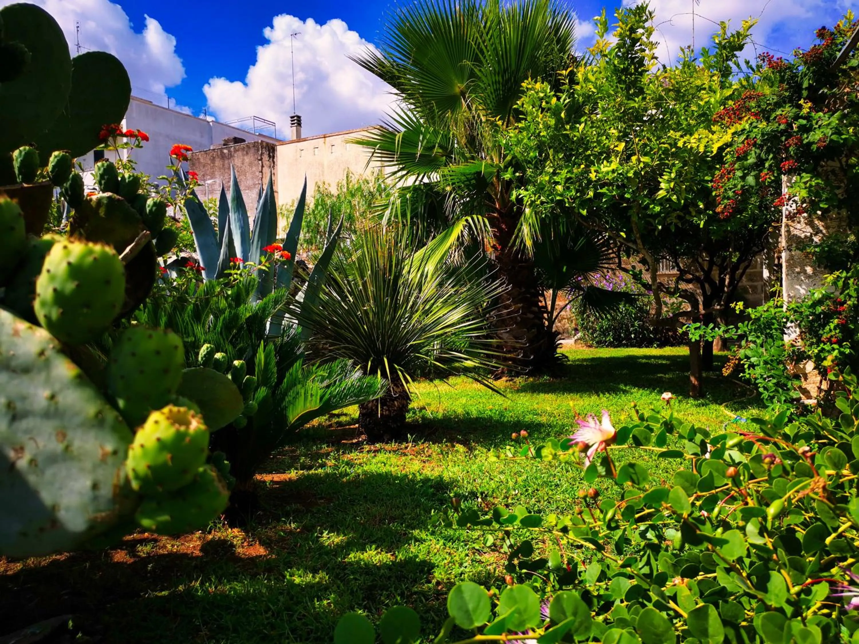 Garden in Masseria De Donno
