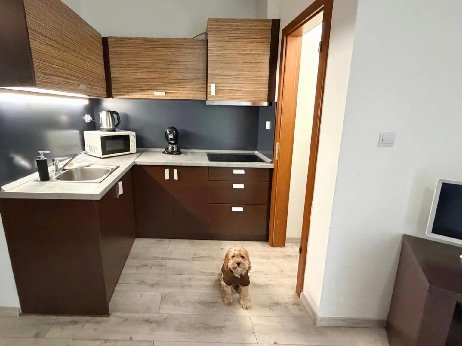 Kitchen or kitchenette in Prater Residence Aparthotel