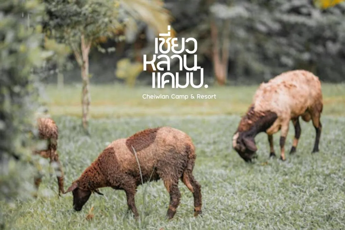 Chiewlan Camp and Resort