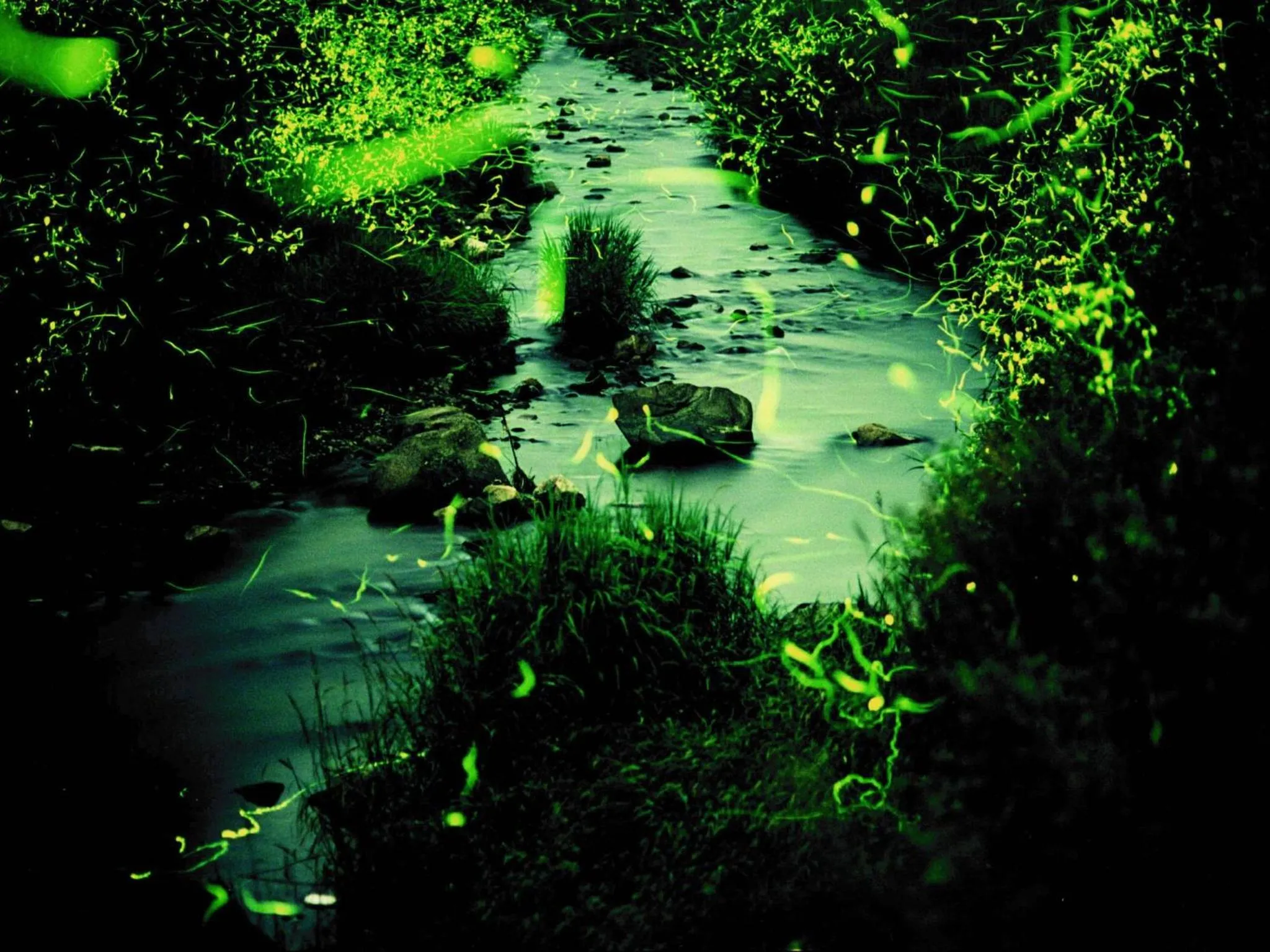 Nearby landmark in Kibi Kogen Resort Hotel