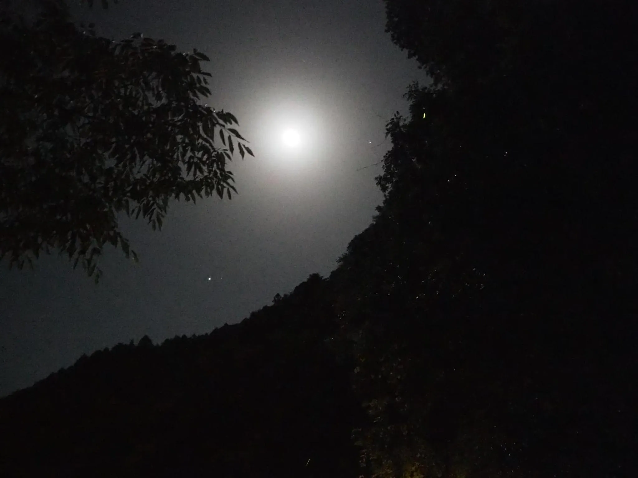 Spring in Gyokusenkaku