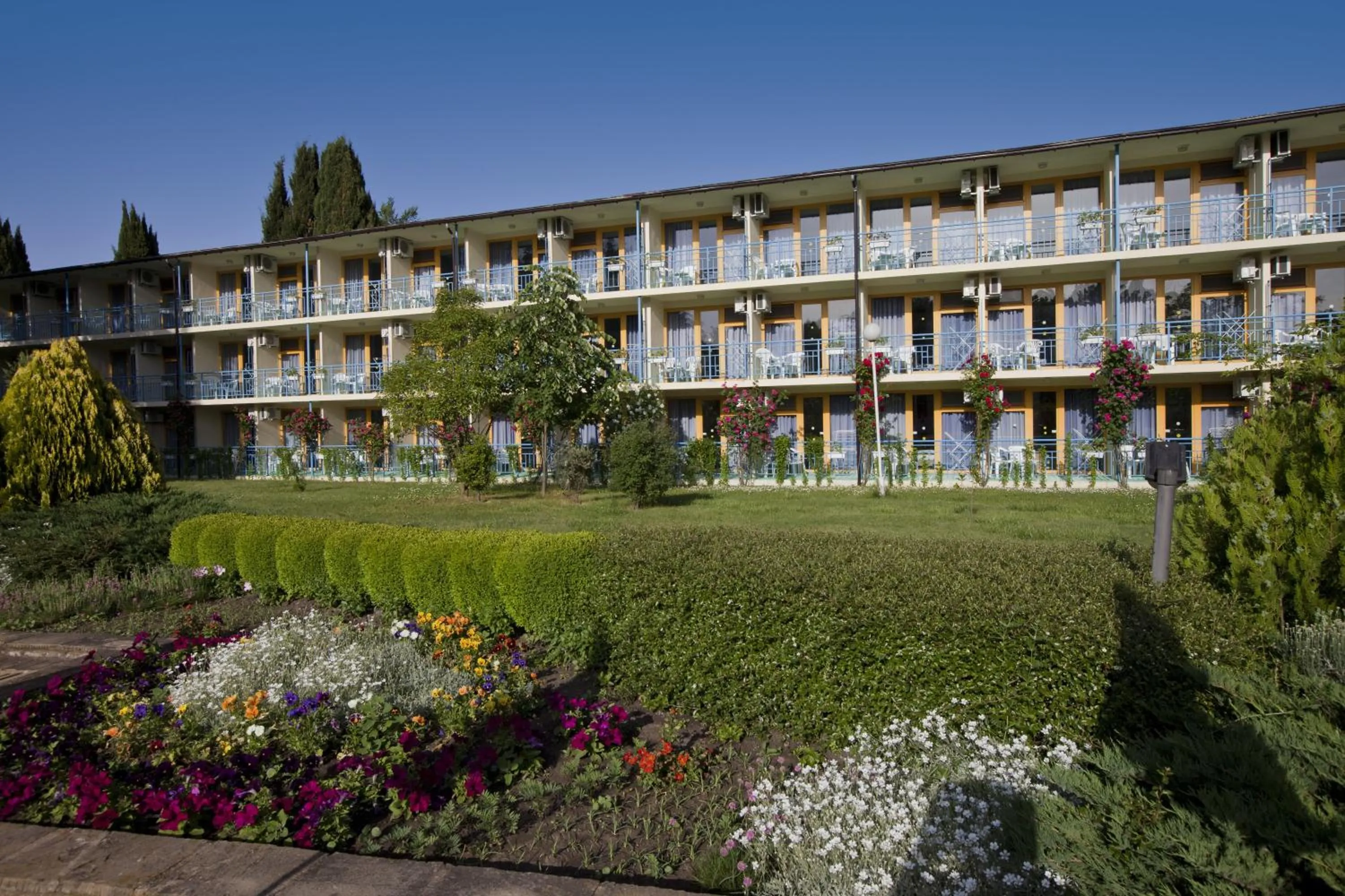 Garden in Continental Park Hotel