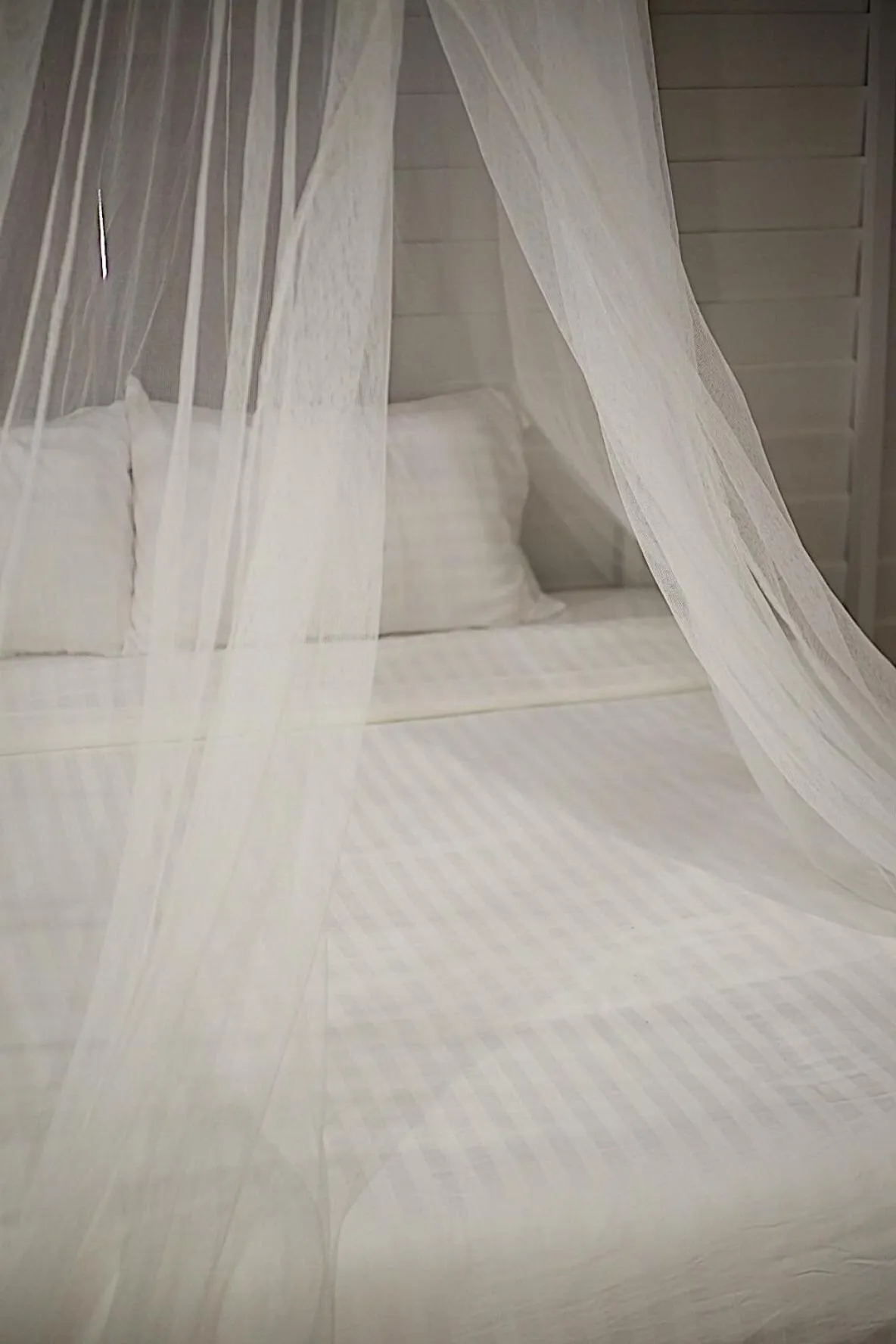 Bed in The Good Days