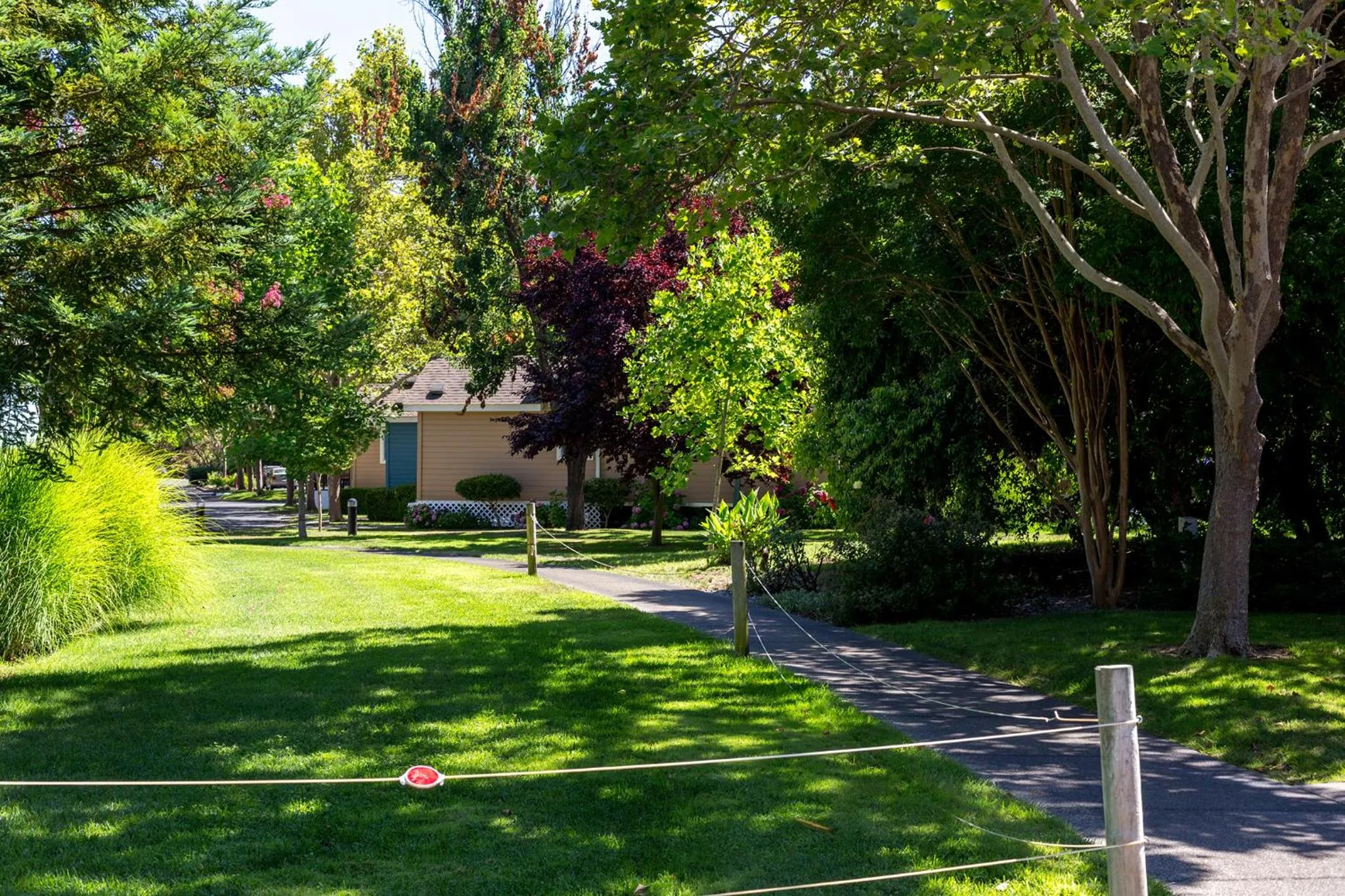 Garden view in RiverPointe Napa Valley Resort