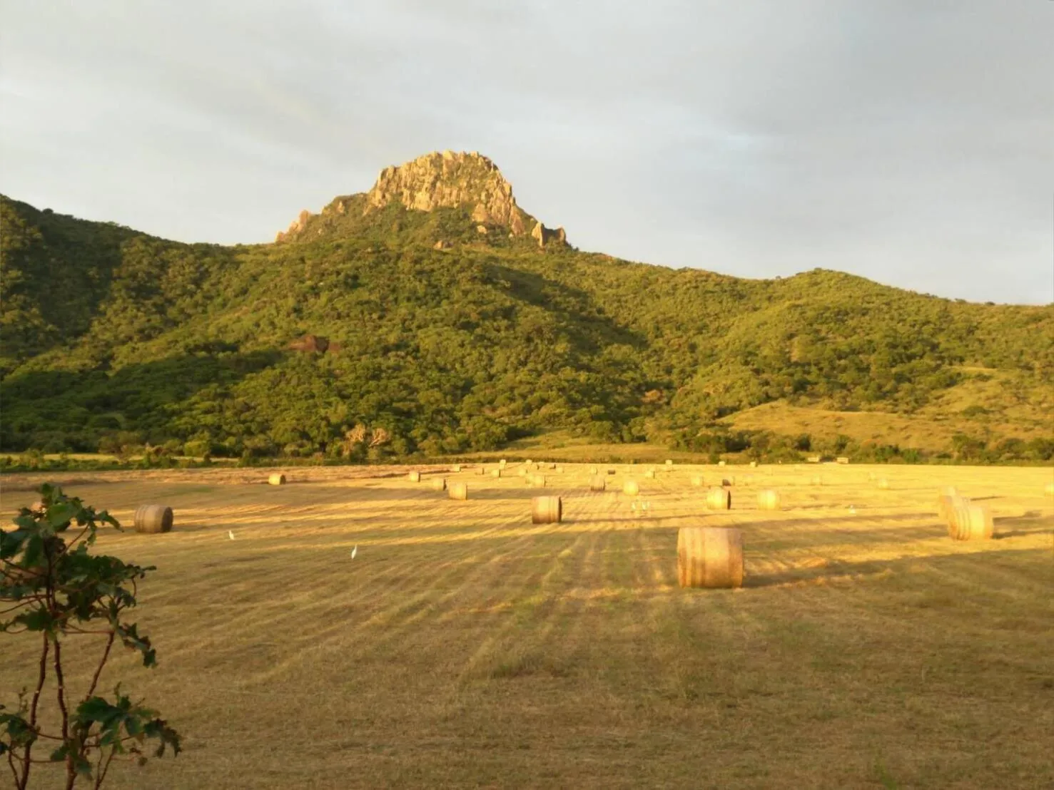 Nearby landmark in Okra Villa