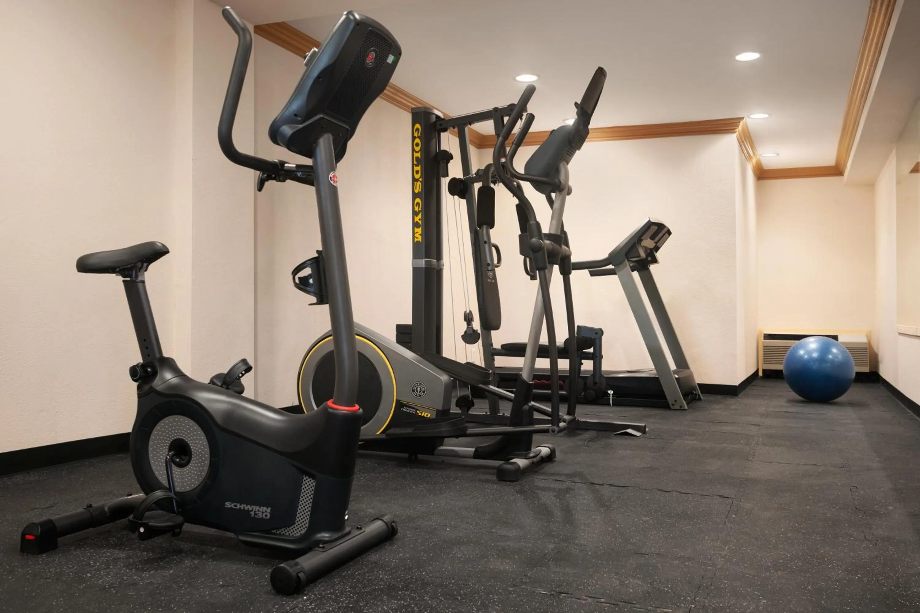 Fitness centre/facilities in Howard Johnson by Wyndham Romulus Detroit Metro Airport