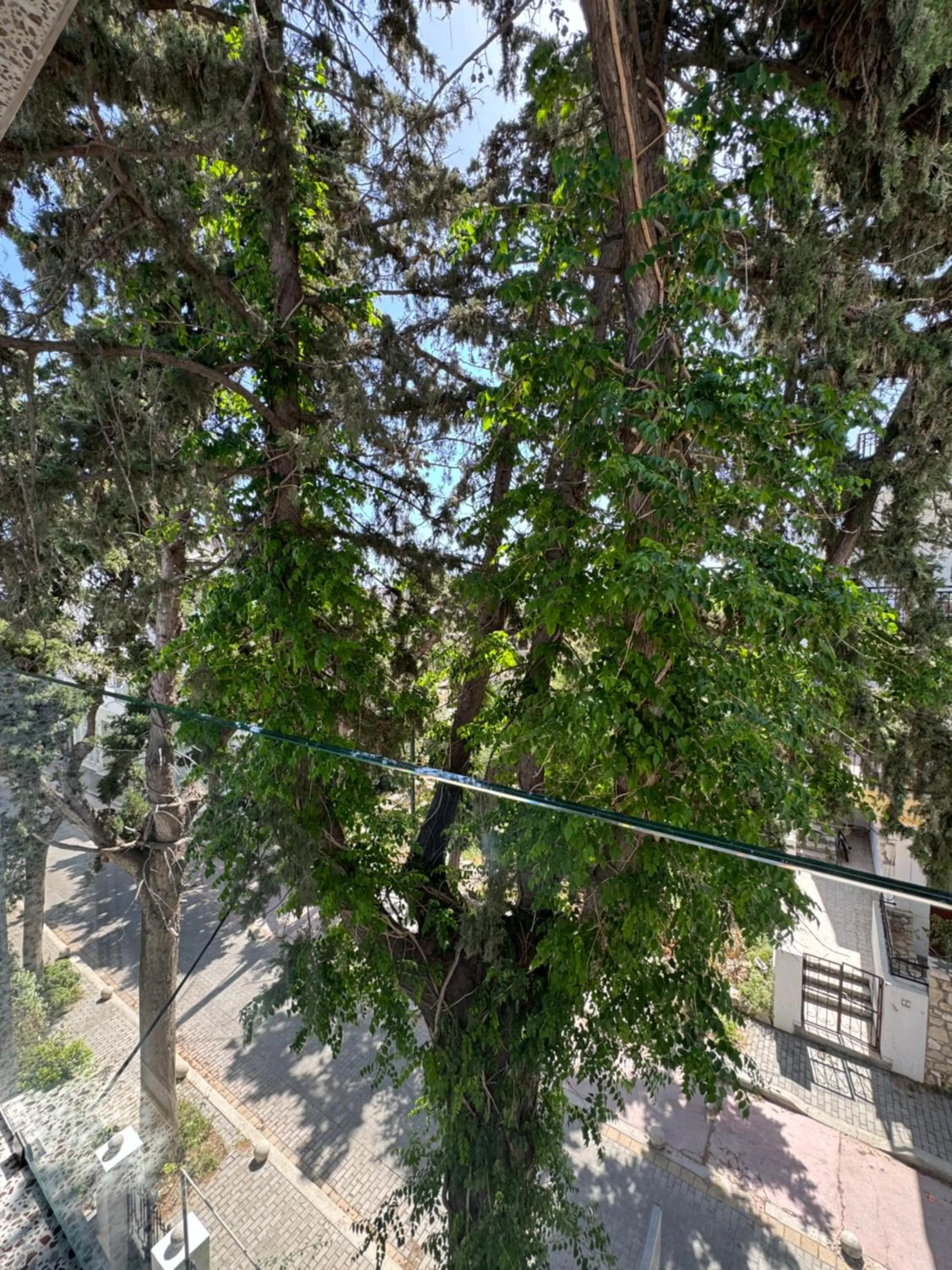 View (from property/room) in Catherine Hotel