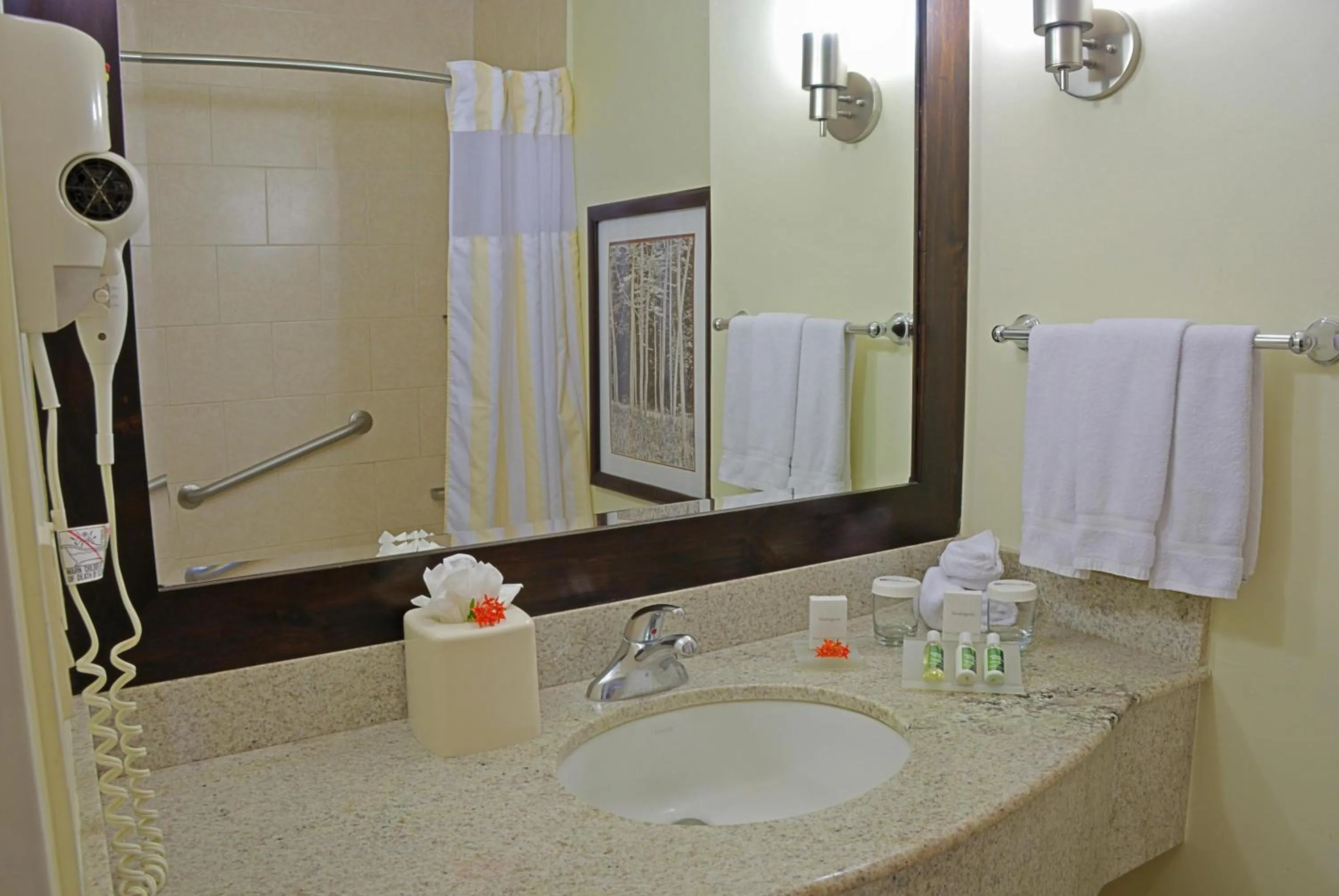 Bathroom in Hilton Garden Inn Guanacaste Airport