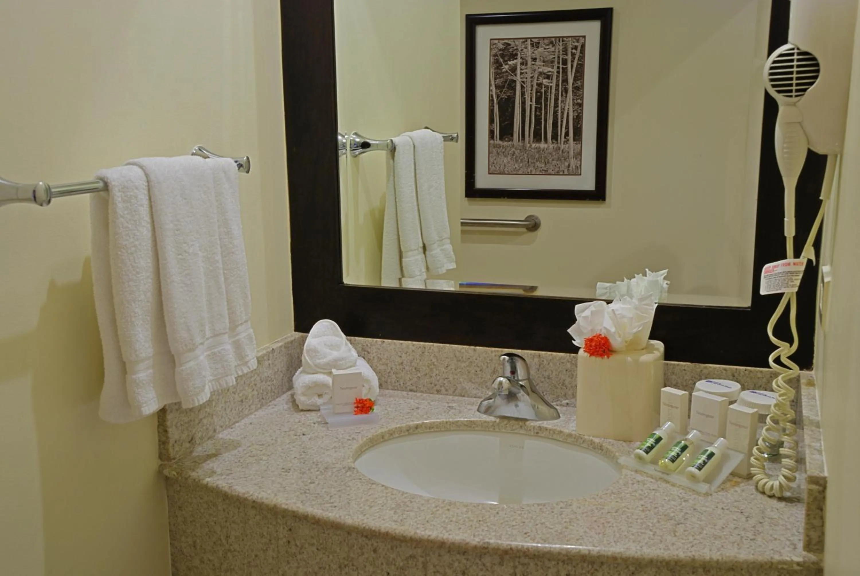 Bathroom in Hilton Garden Inn Guanacaste Airport