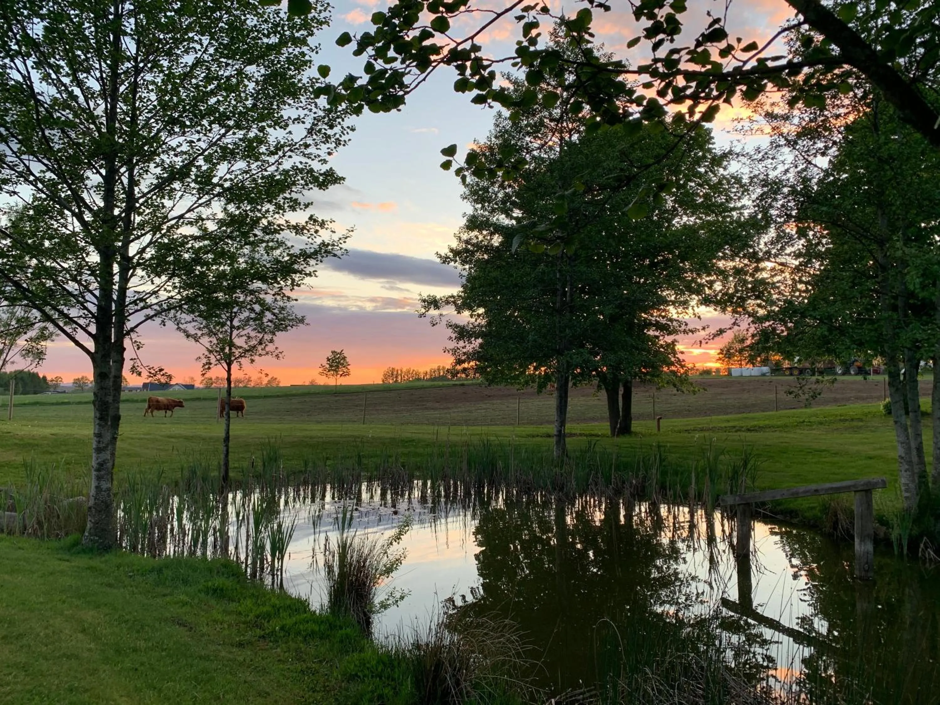 Husargårdens Bed & Breakfast