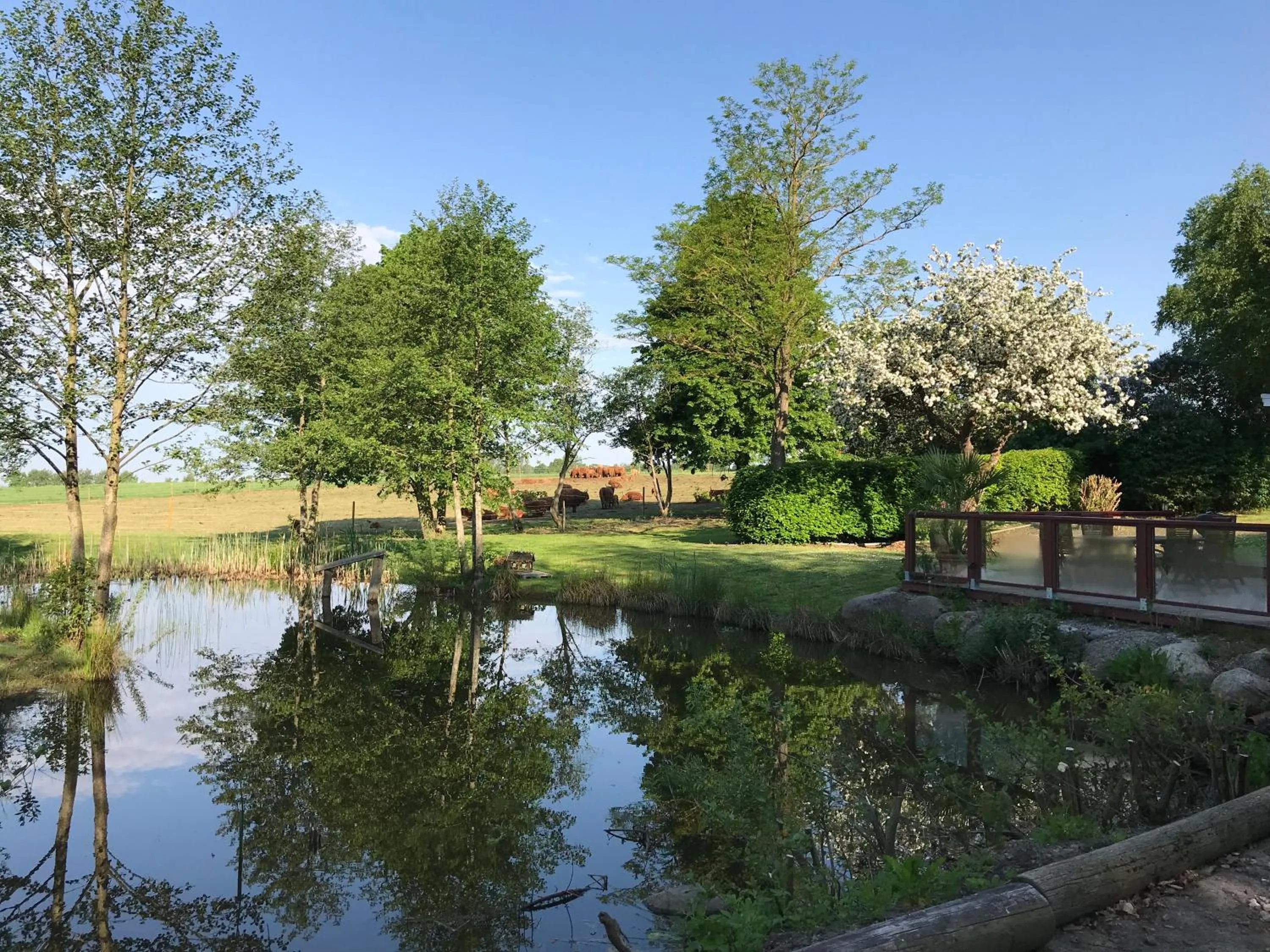 Other in Husargårdens Bed & Breakfast