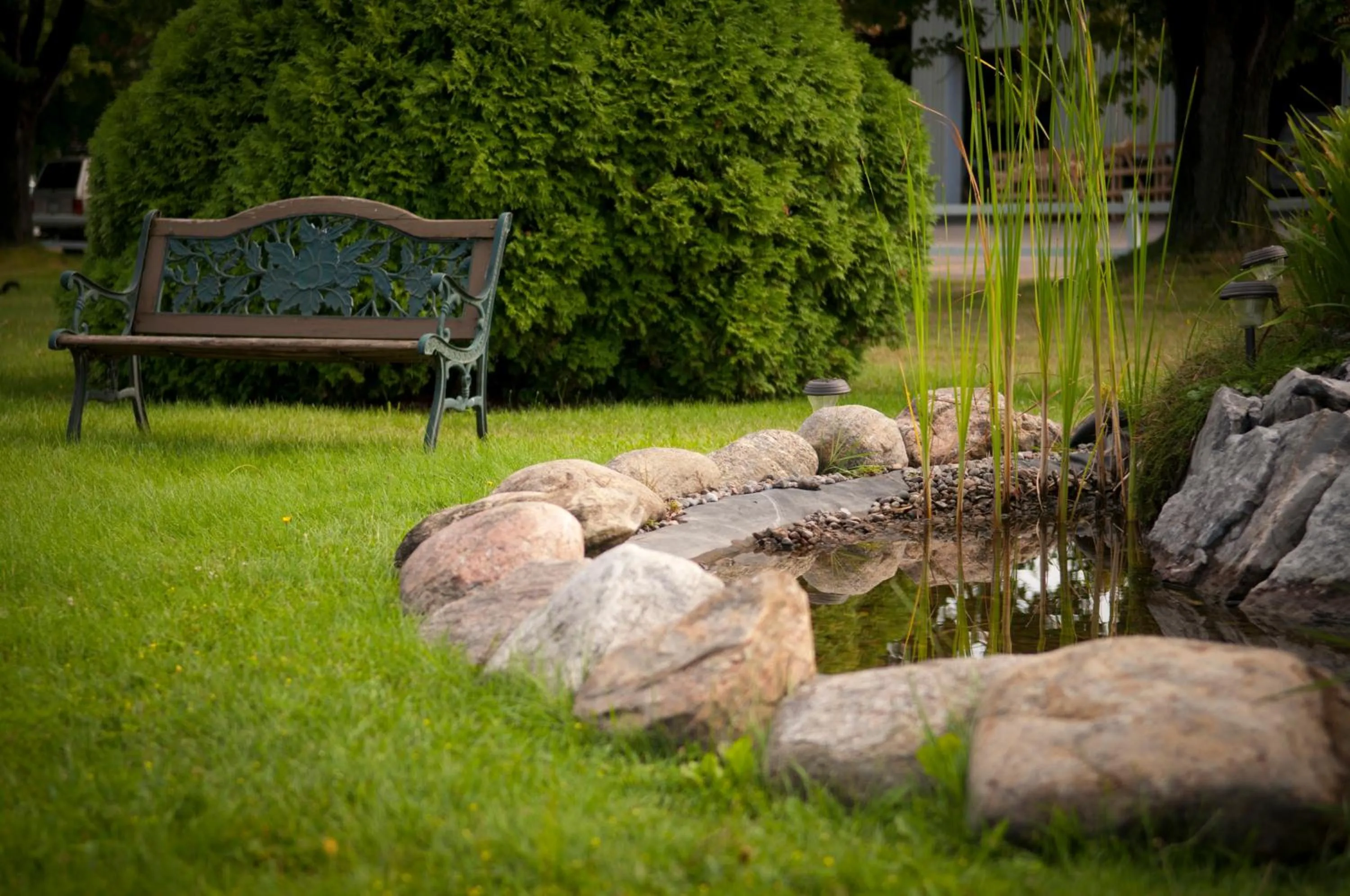 Garden in Le Deauville Motel