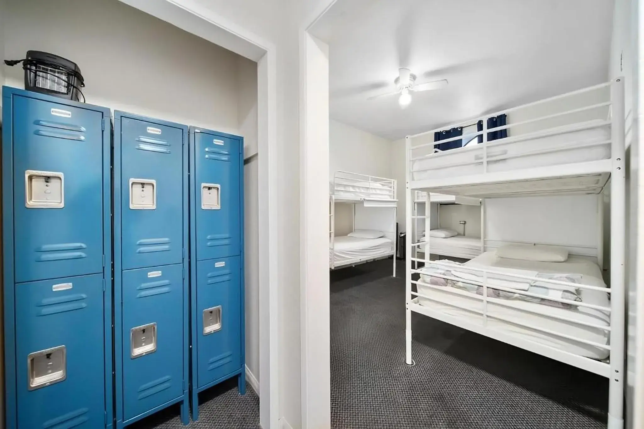 Single Bed in 4-Bed Mixed Dormitory Room with Shared Bathroom in Samesun Venice Beach Hotel & Hostel Single Bed in 4-Bed Mixed Dormitory Room with Shared Bathroom in Samesun Venice Beach Hotel & Hostel