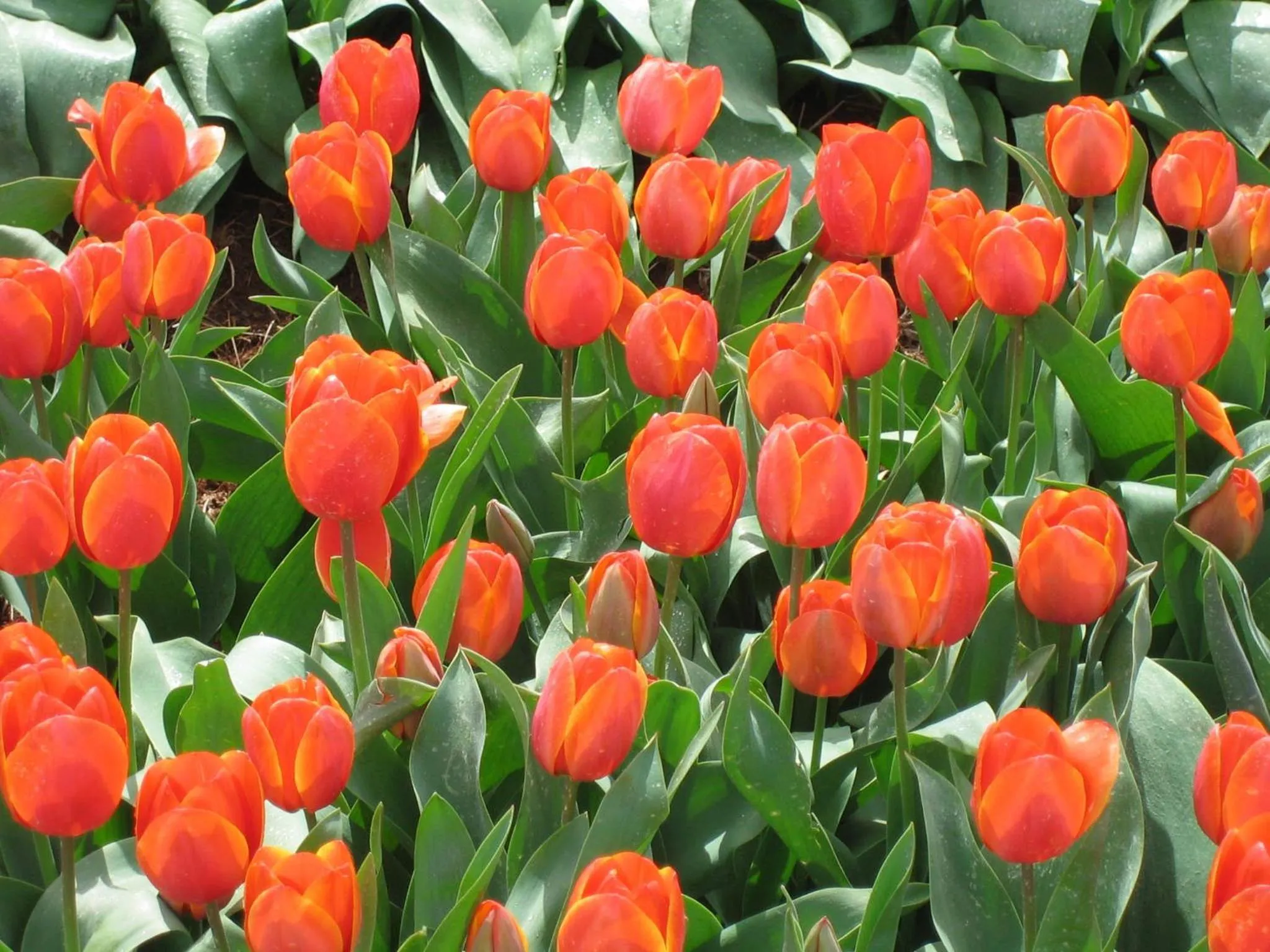 Nearby landmark in The Waterfront Wynyard