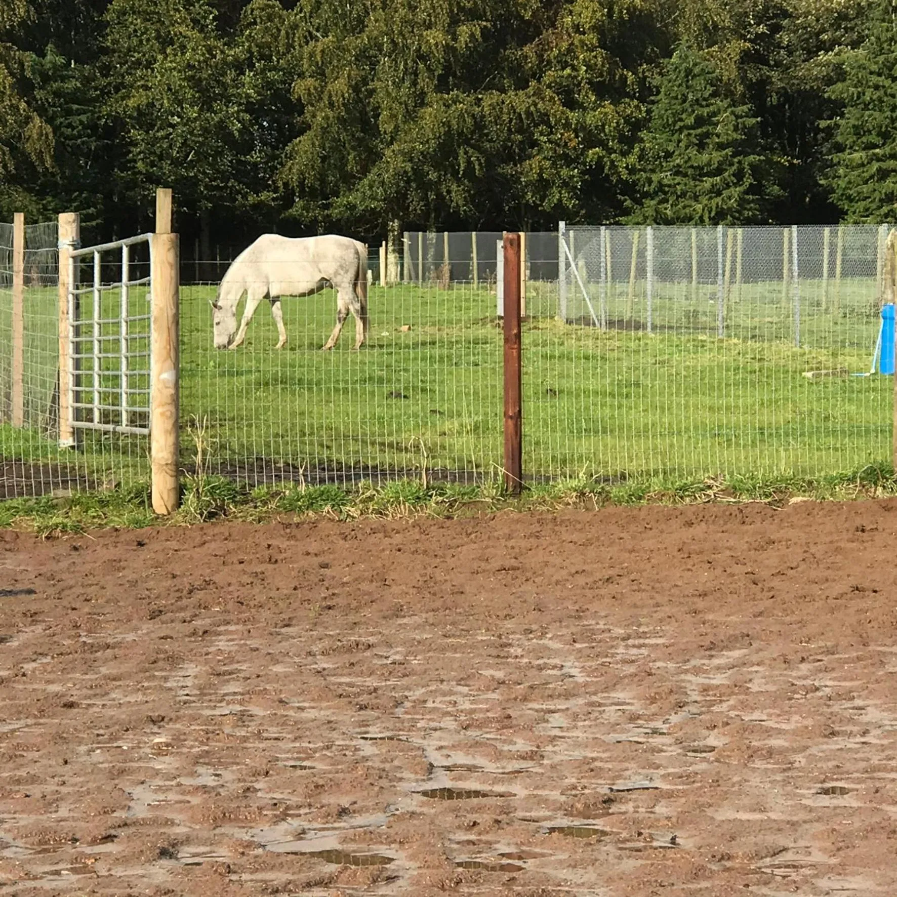 Garden in The Stables B&B