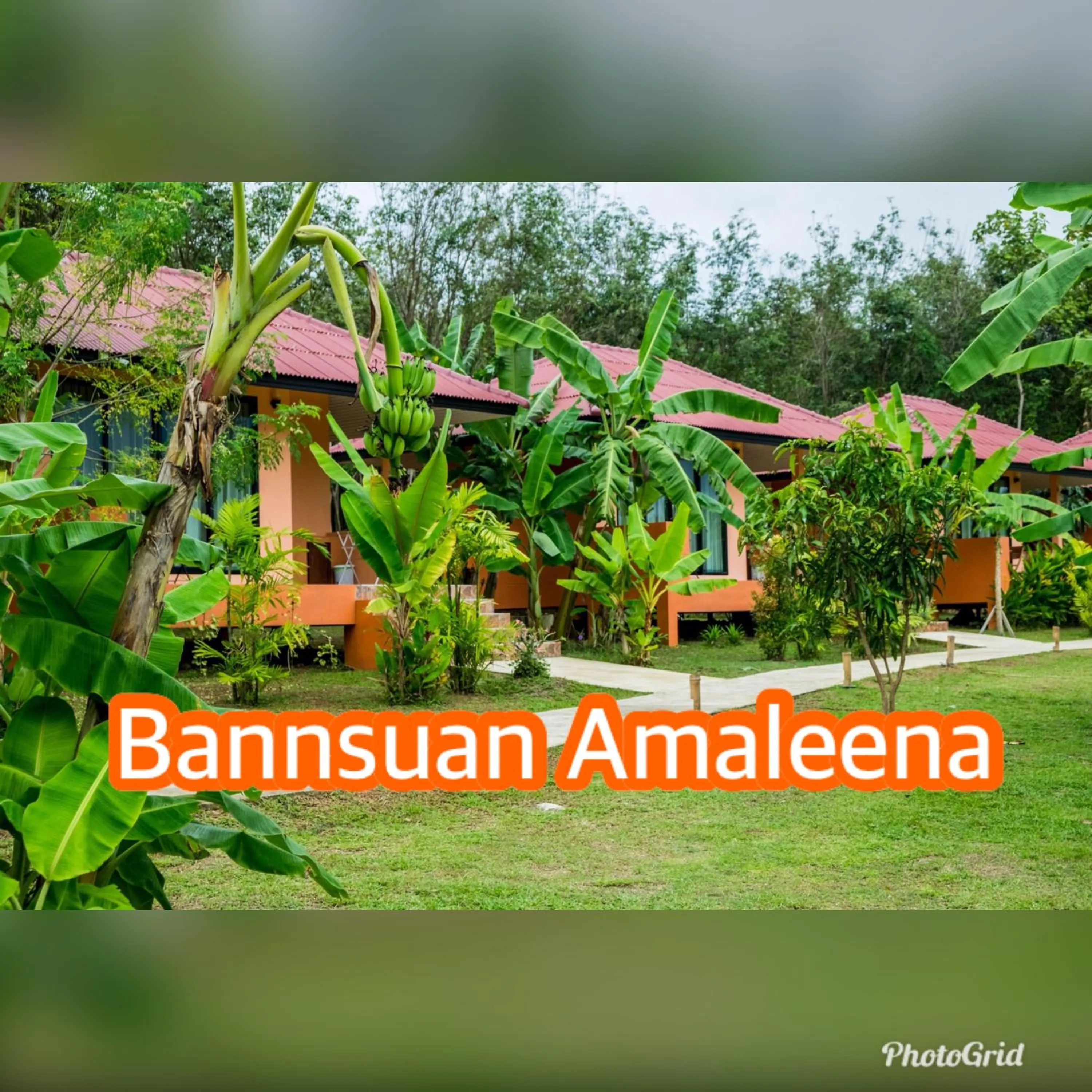 Baansuan Amaleena