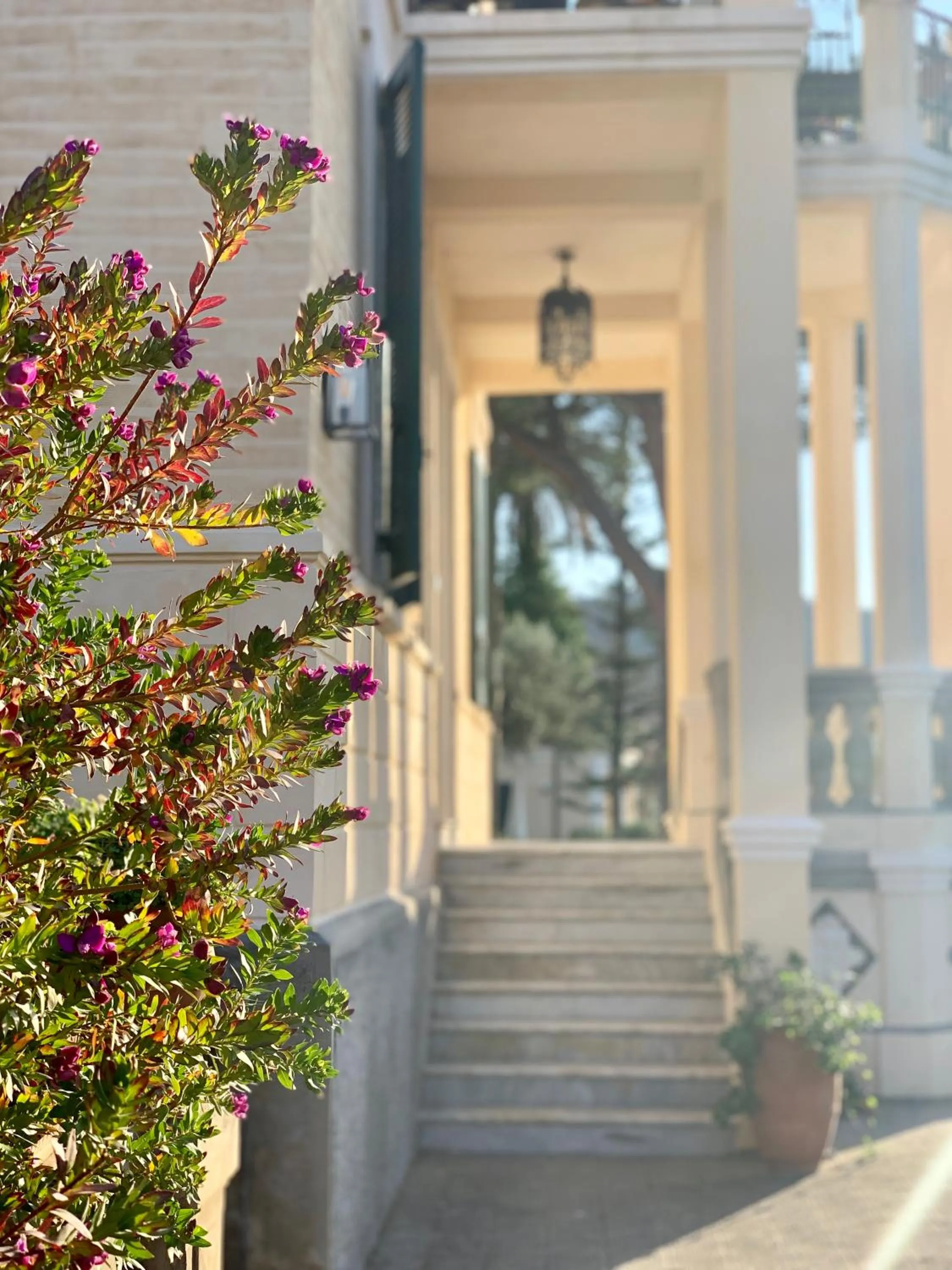 Patio in Villino Eleonora