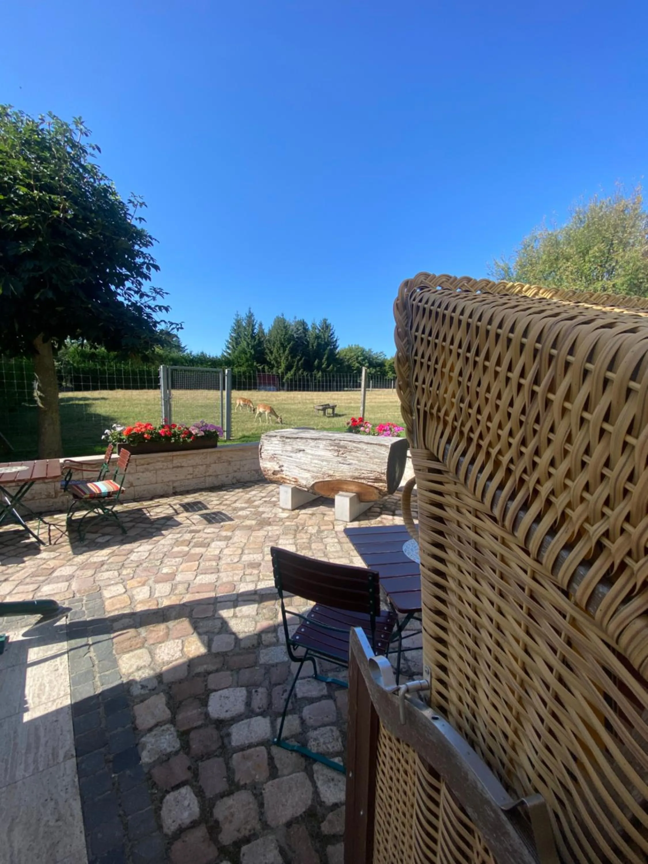 Balcony/Terrace in Hotel Schwartze