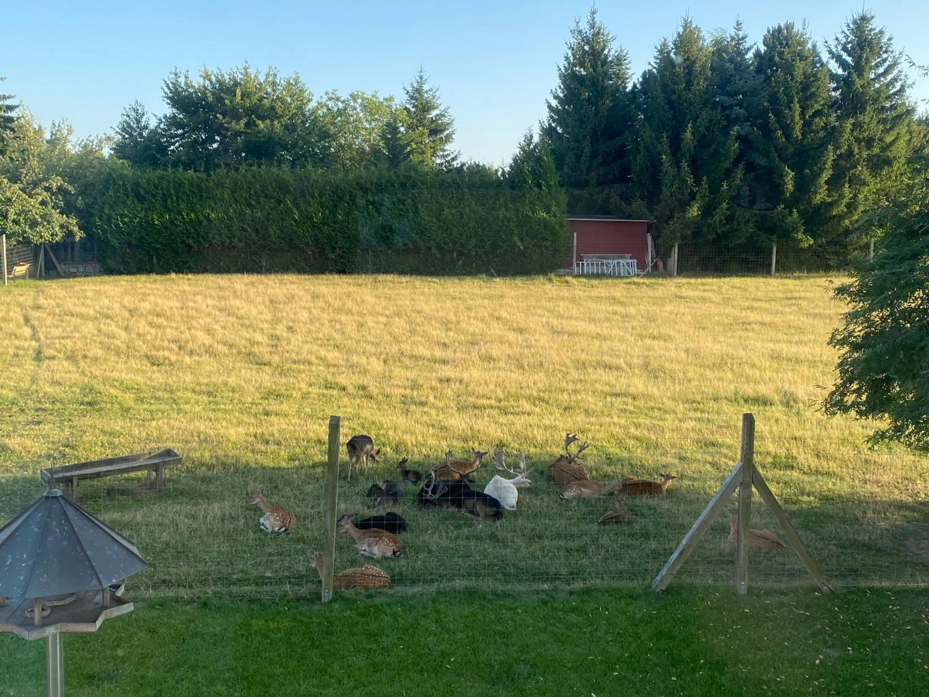 View (from property/room) in Hotel Schwartze