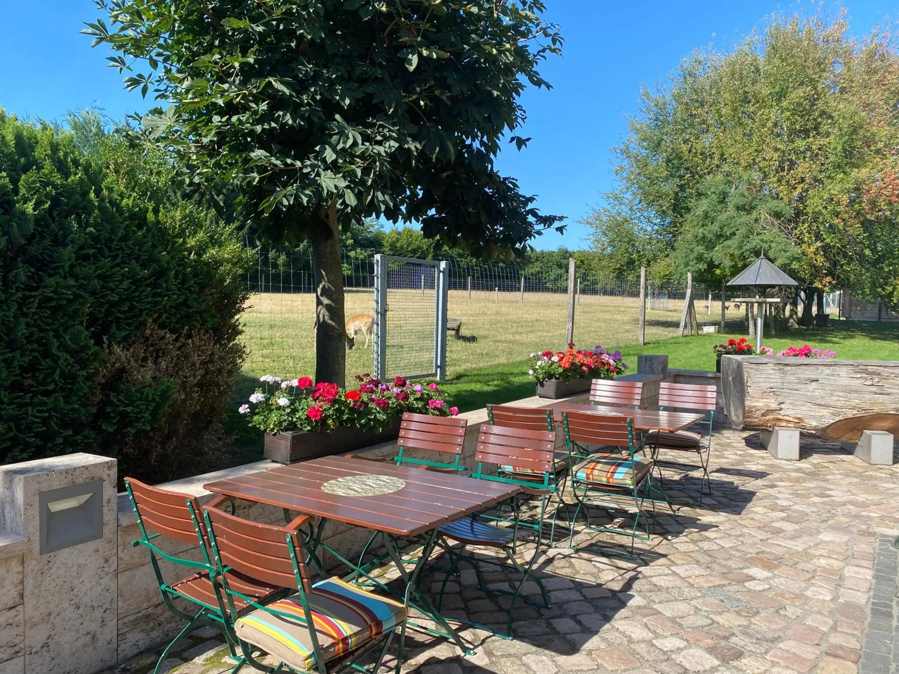 Balcony/Terrace in Hotel Schwartze
