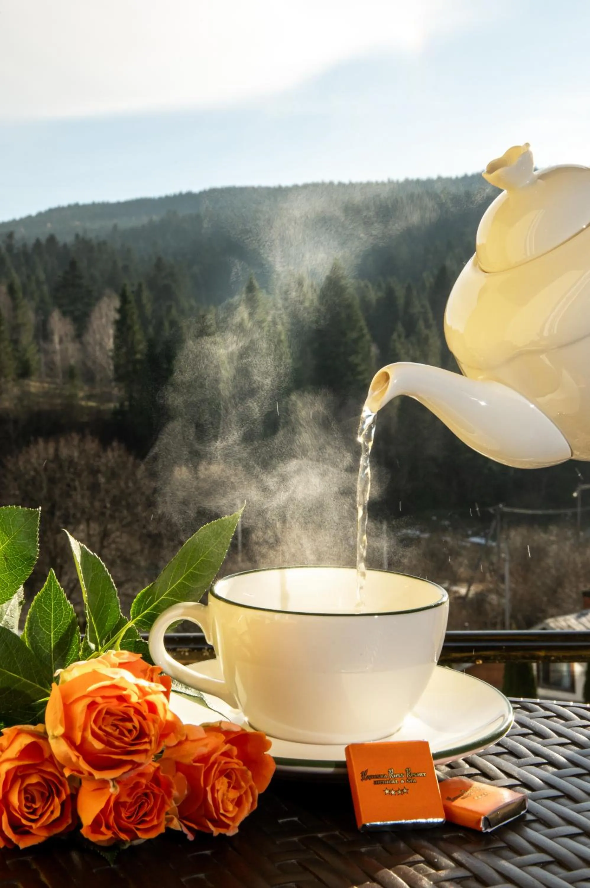 Kyivska Russ Resort Medical&Spa