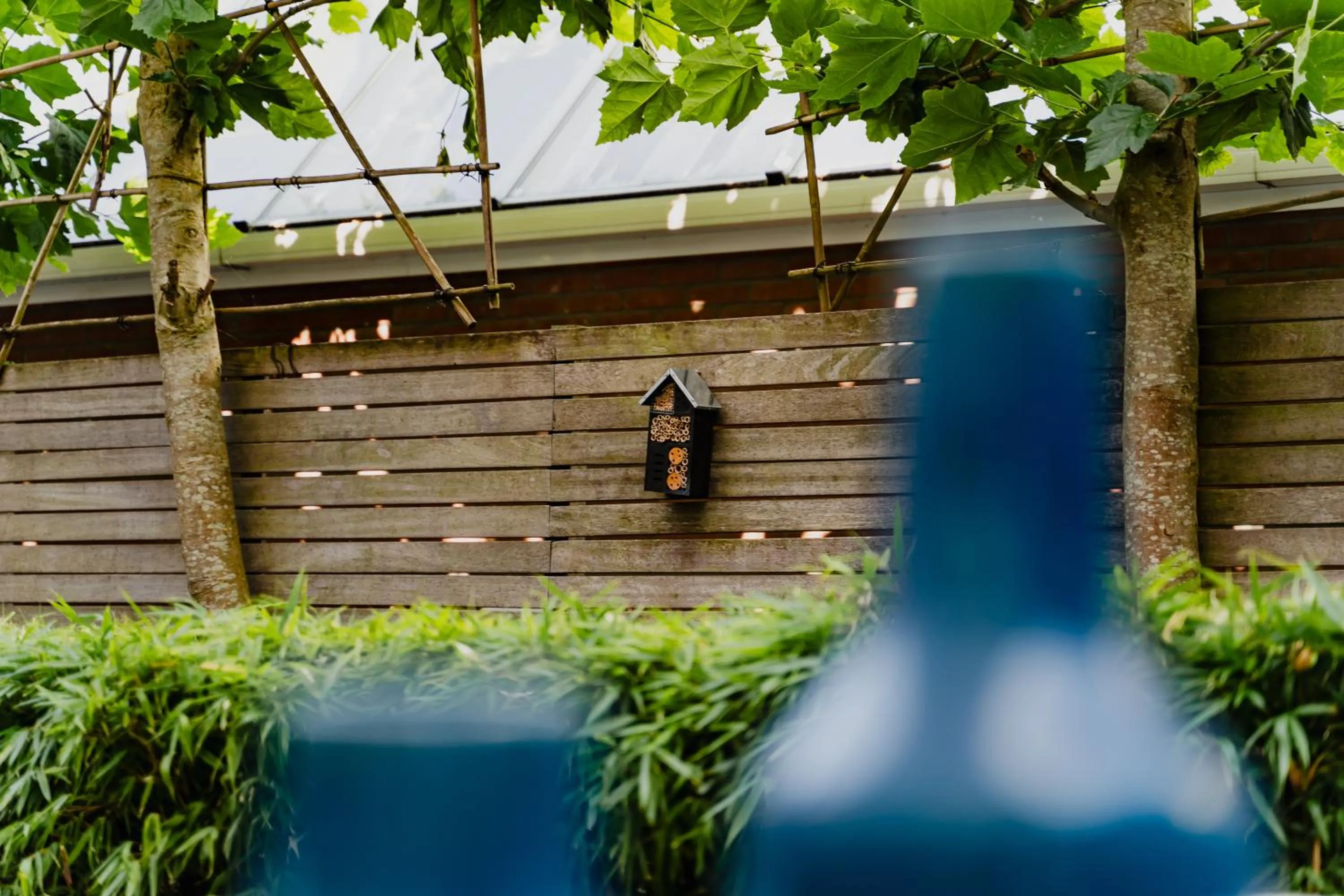 Garden in Hotel JL No76