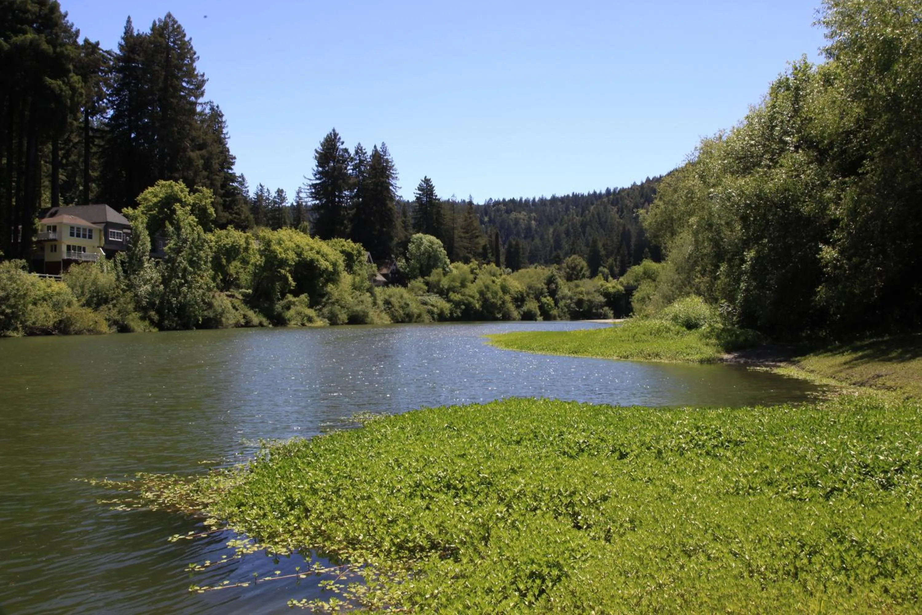 Natural landscape in Inn on the Russian River