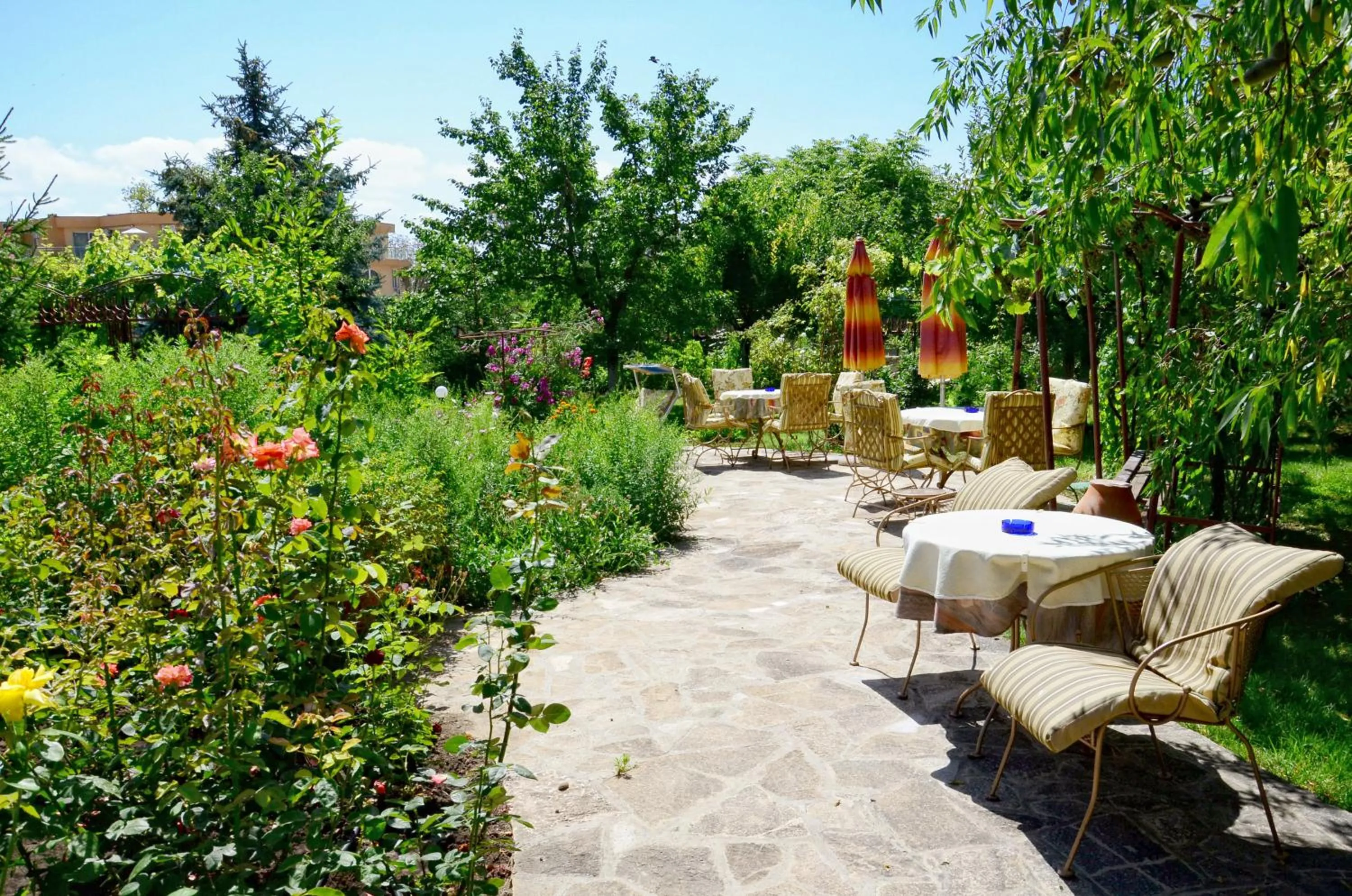 Garden in Dallas Residence