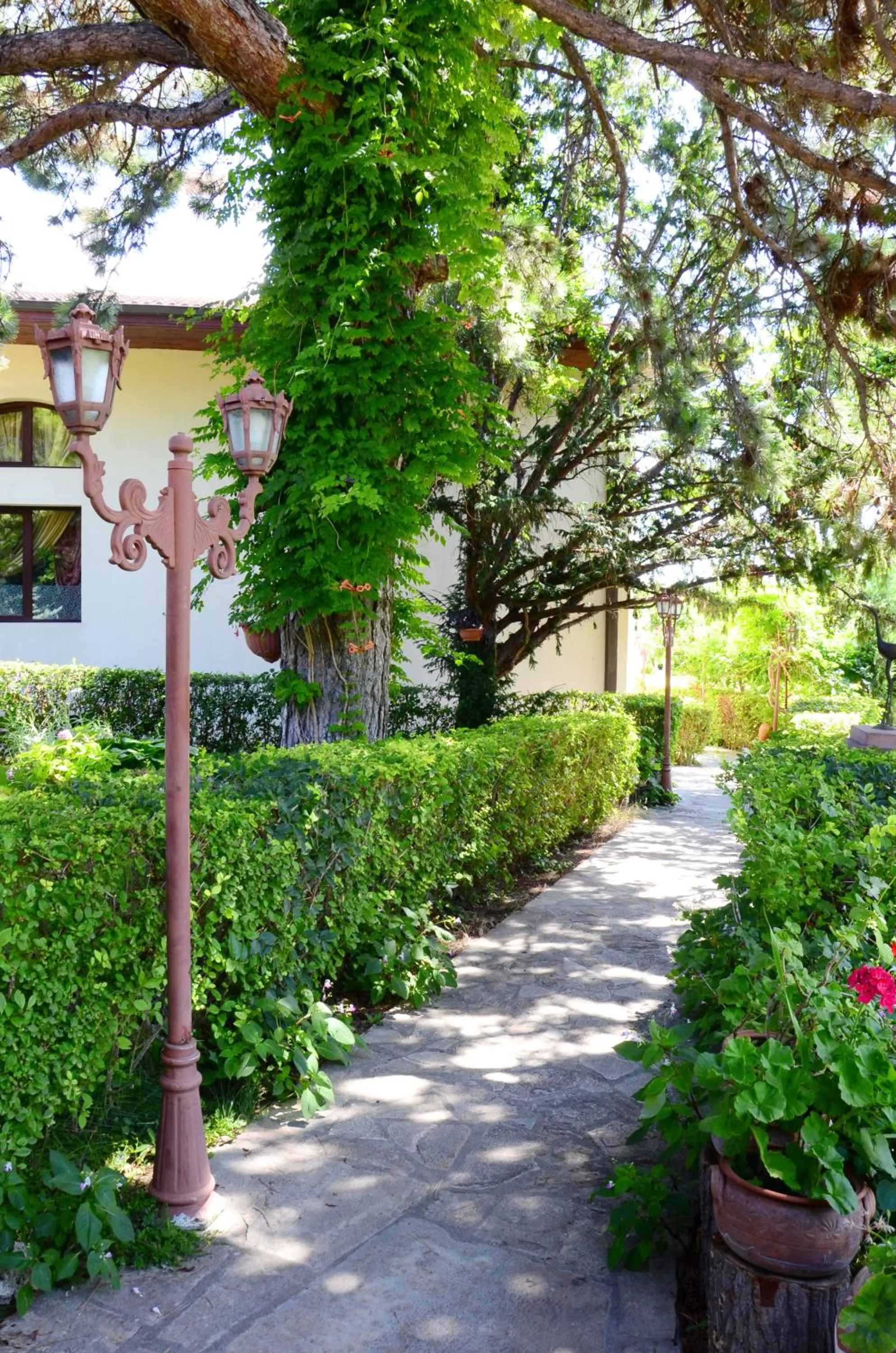 Garden in Dallas Residence