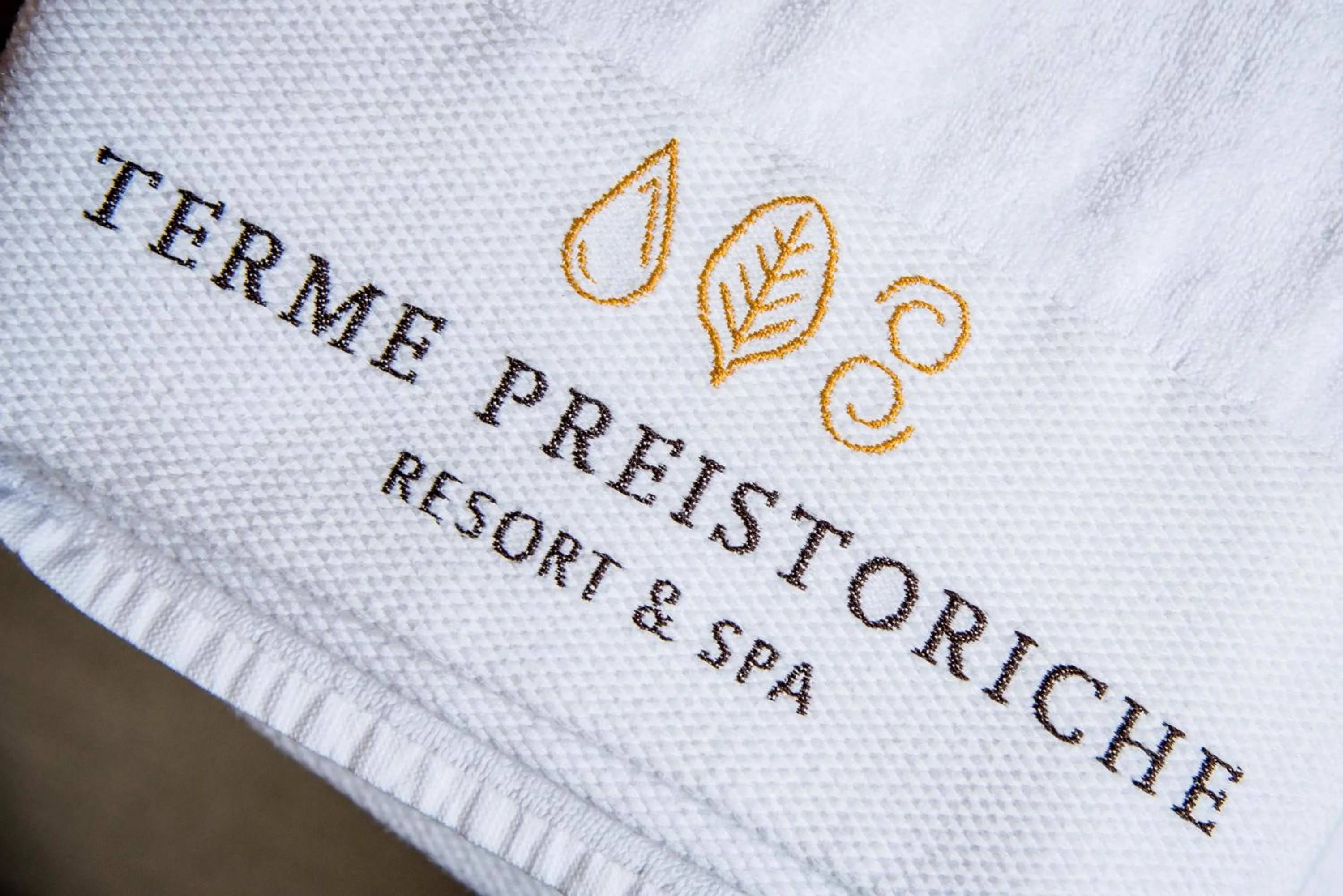 Decorative detail in Terme Preistoriche Resort & Spa