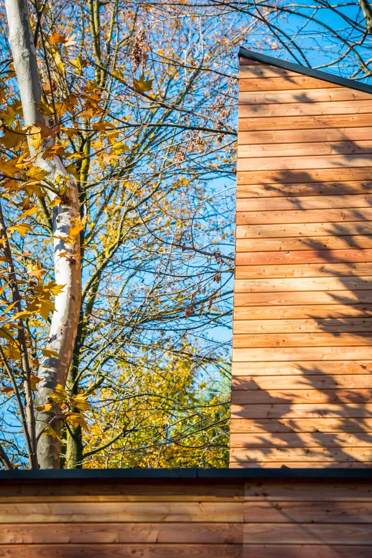 Property building in Terme Preistoriche Resort & Spa