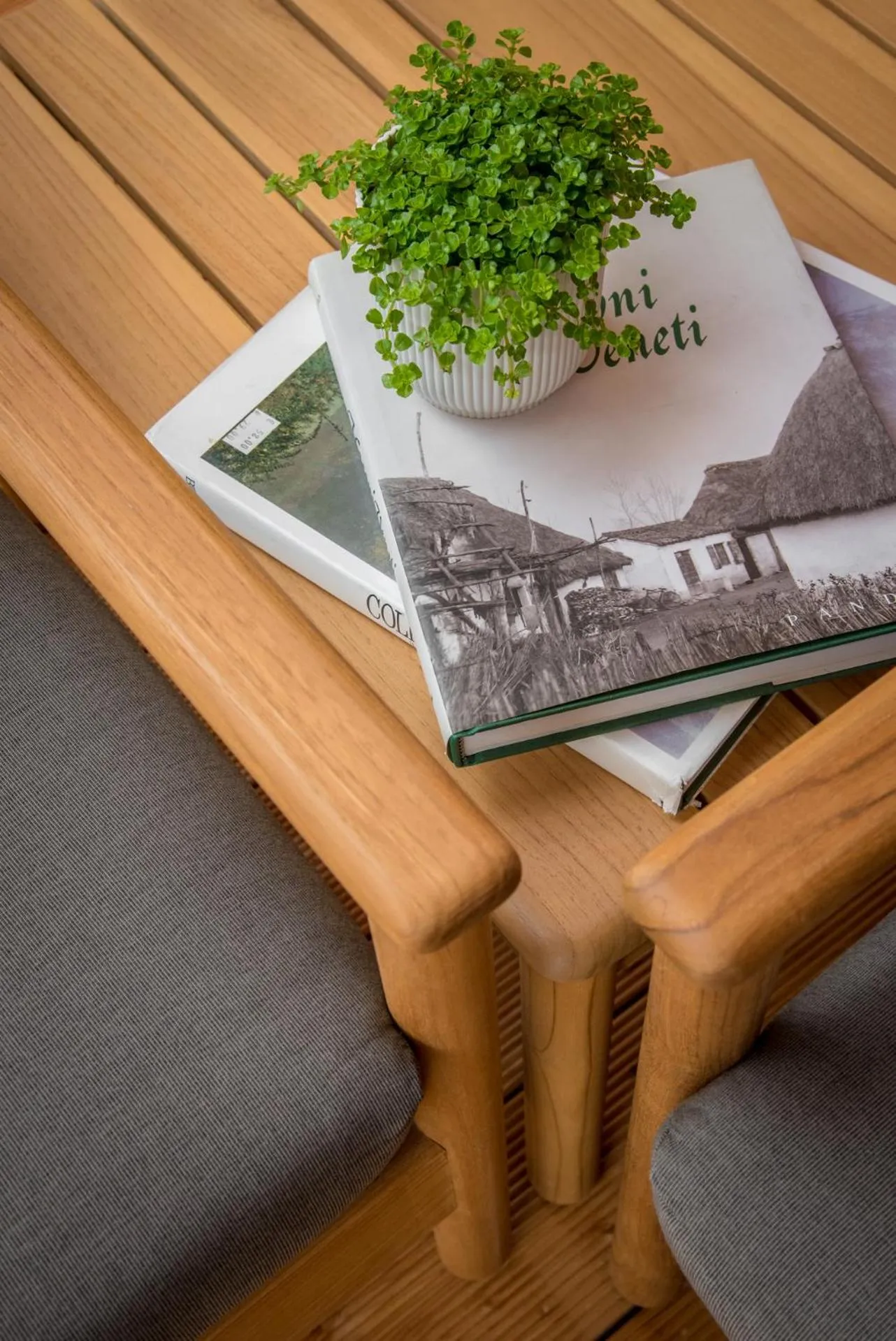 Patio in Terme Preistoriche Resort & Spa