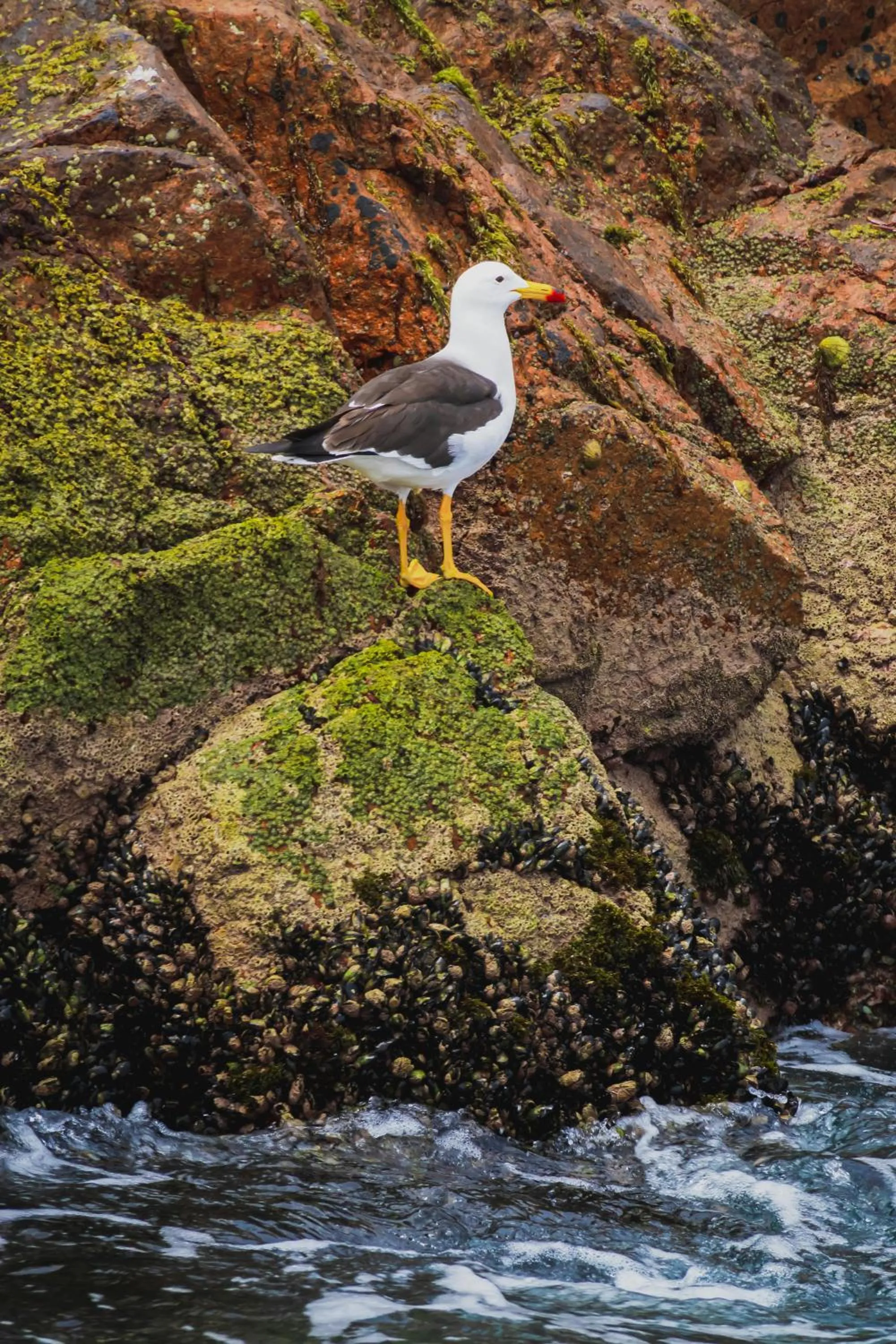 Natural landscape in Hotel Riviera Inka Paracas
