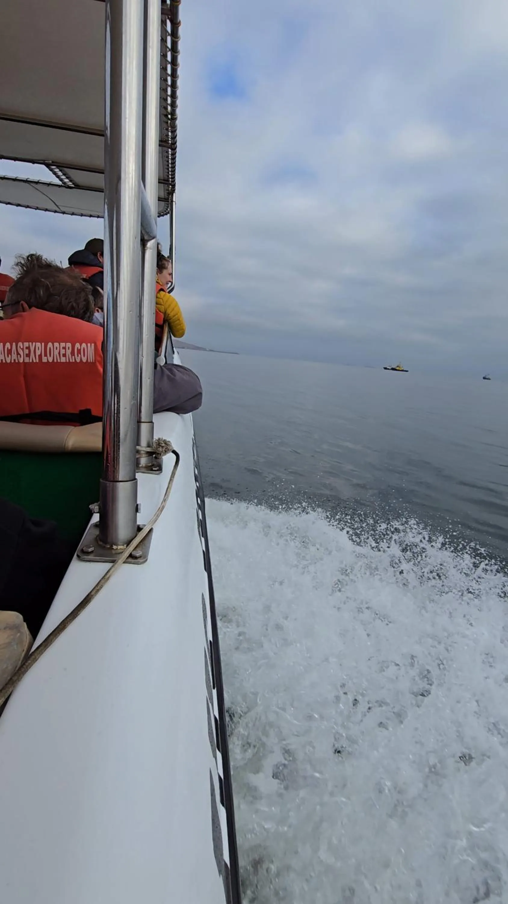 Natural landscape in Hotel Riviera Inka Paracas