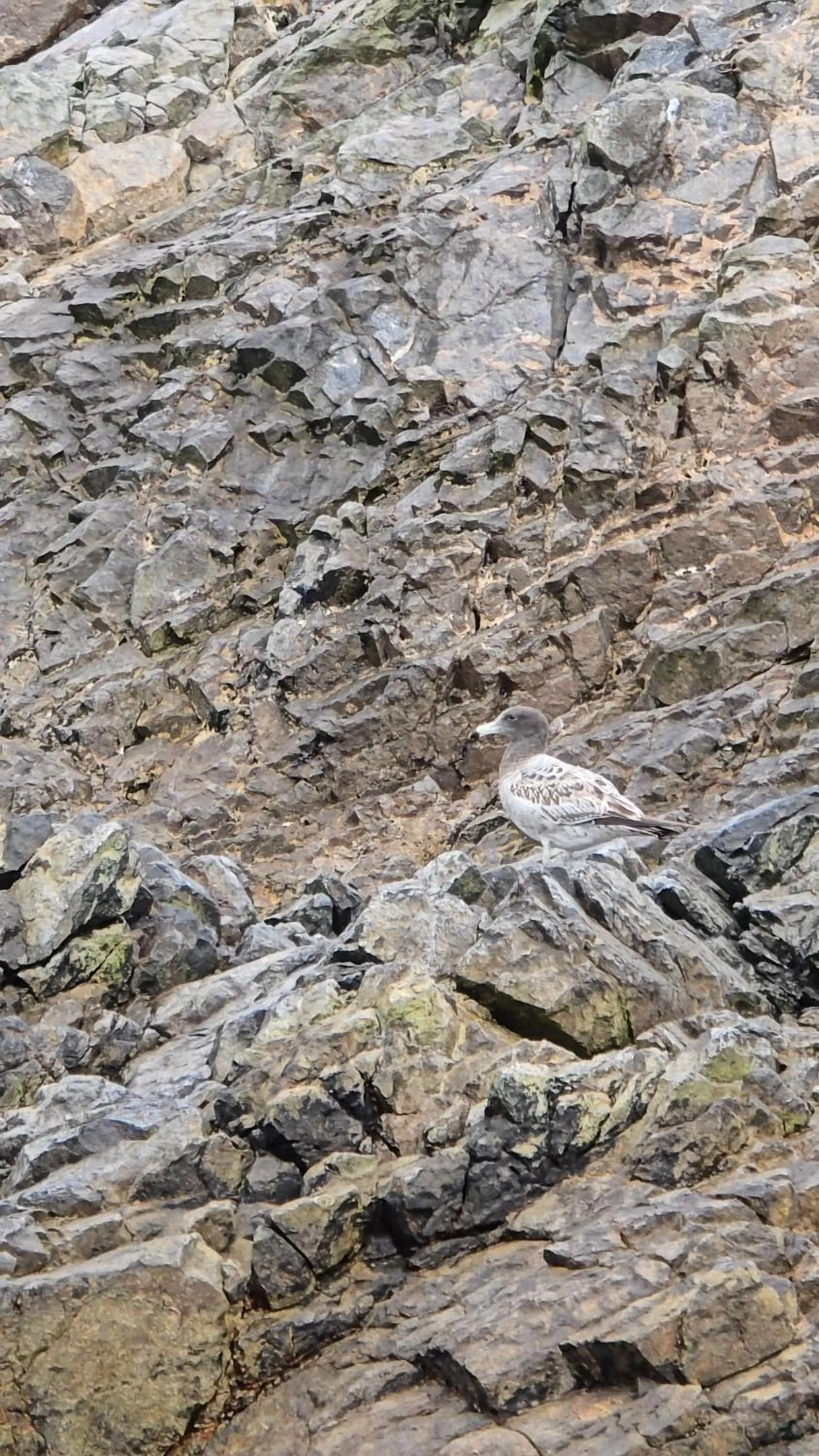 Day in Hotel Riviera Inka Paracas