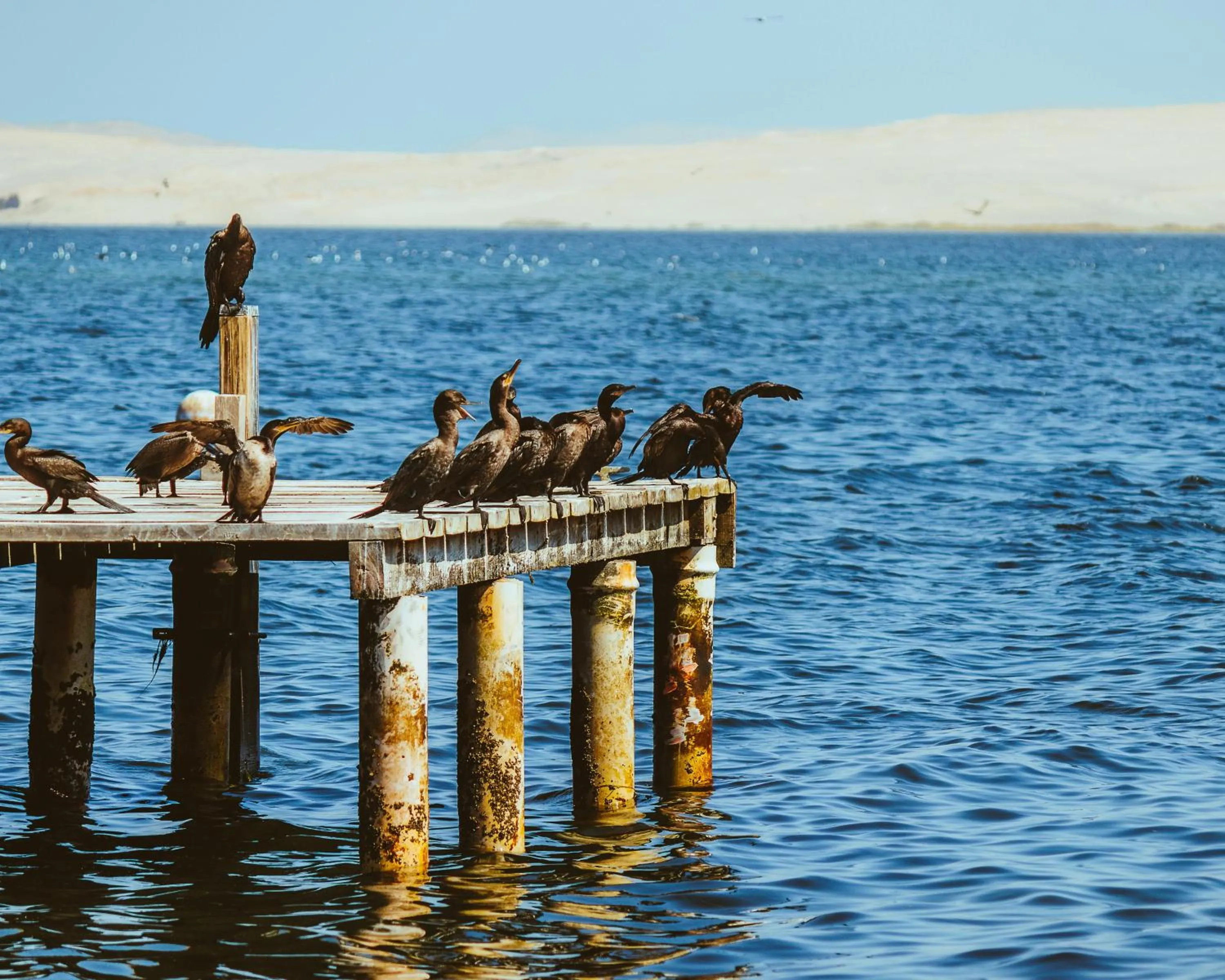 Nearby landmark in Hotel Riviera Inka Paracas
