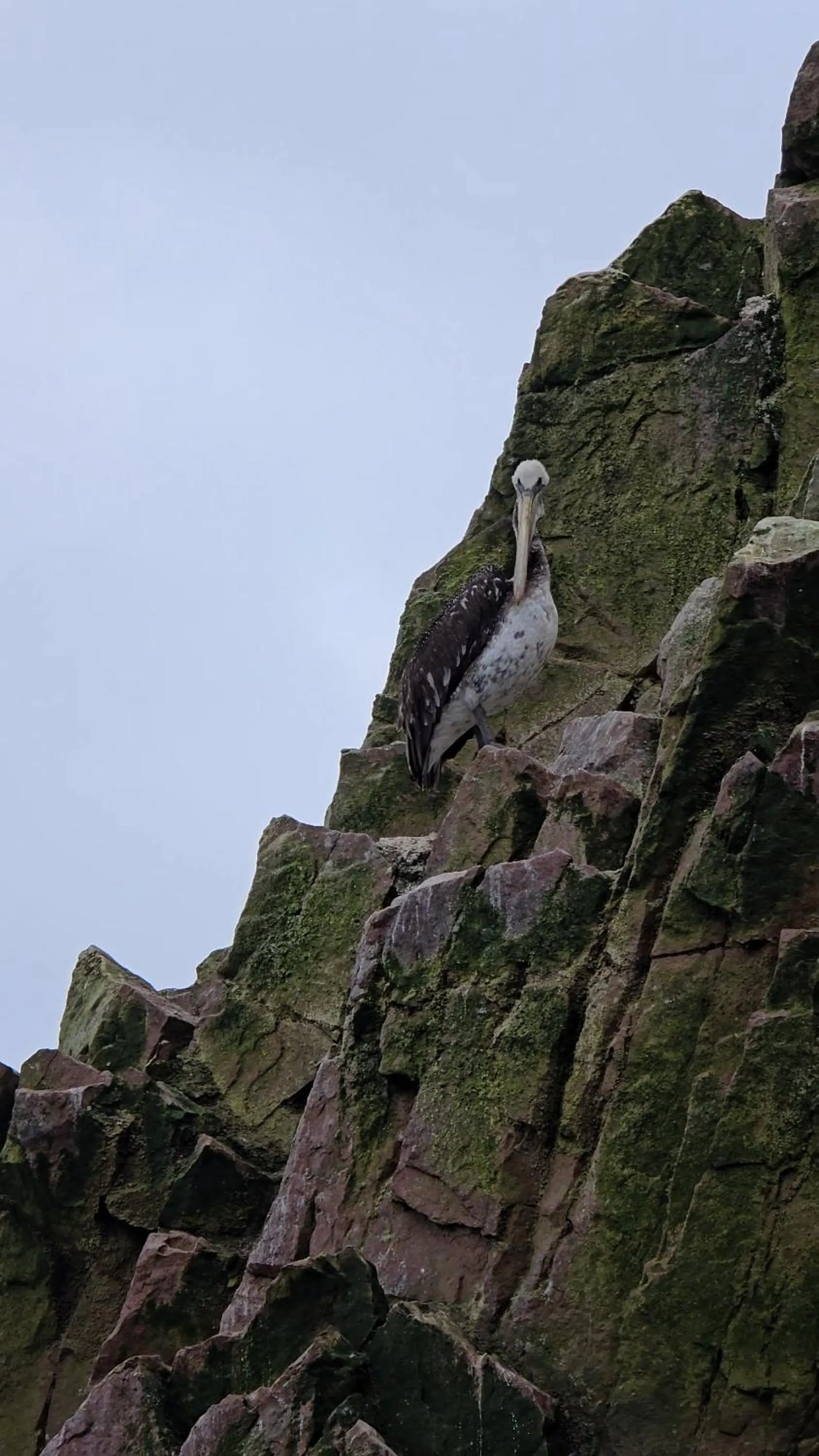 Natural landscape in Hotel Riviera Inka Paracas