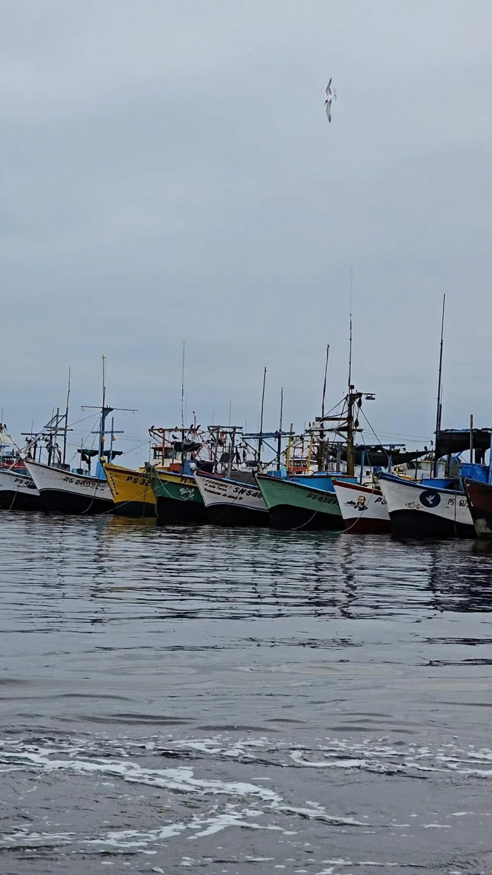 Natural landscape in Hotel Riviera Inka Paracas