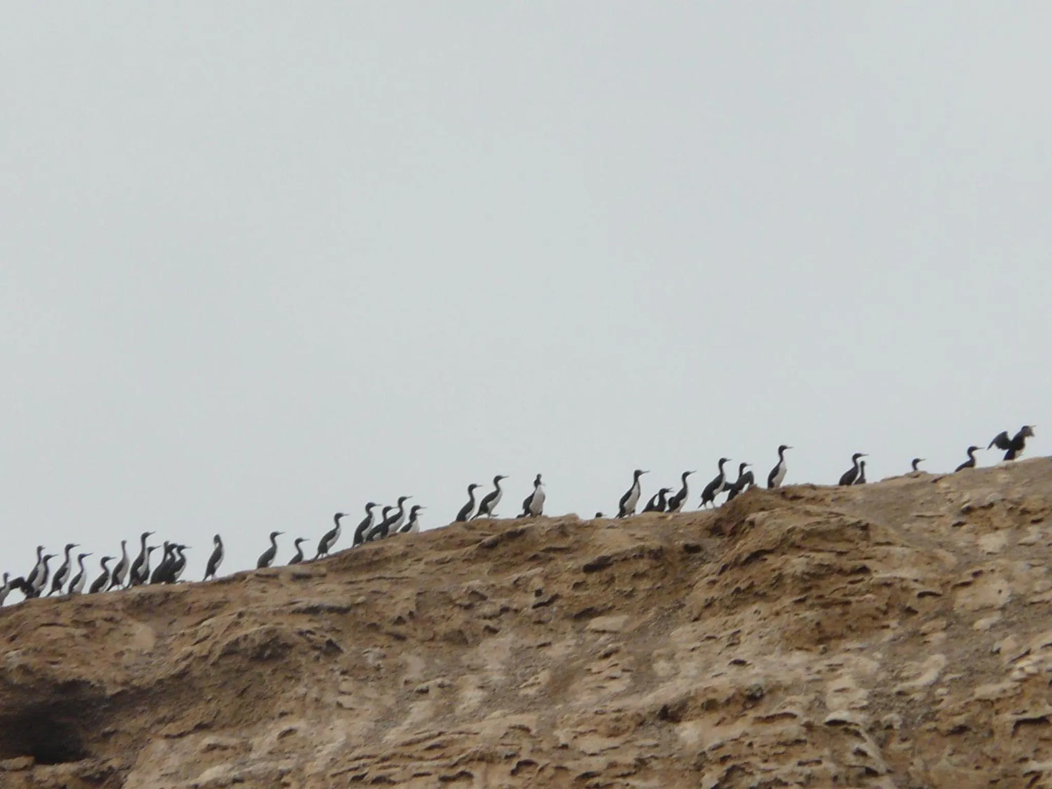 Nearby landmark in Hotel Riviera Inka Paracas