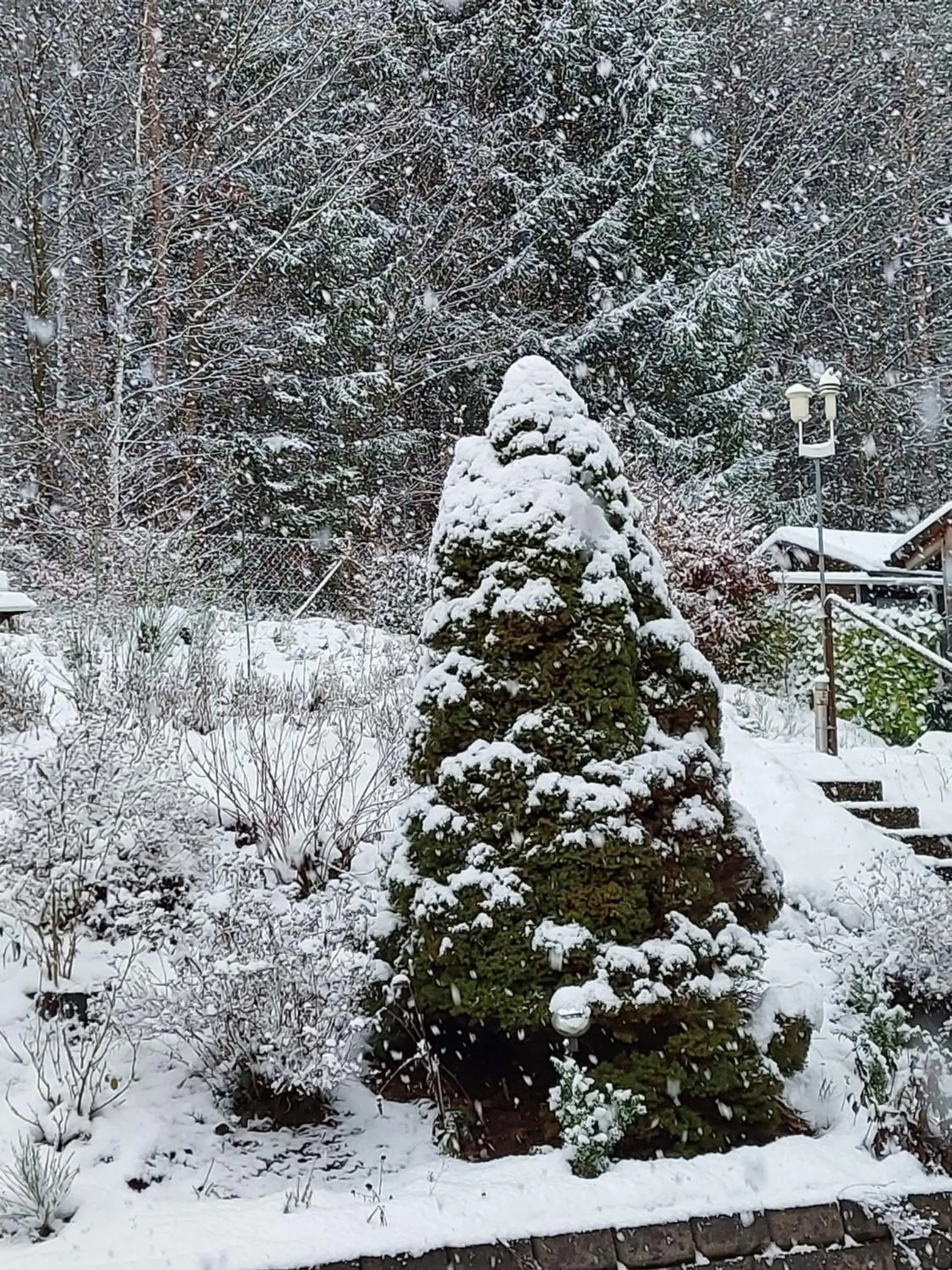 Garden in Gästehaus Hochrhönblick