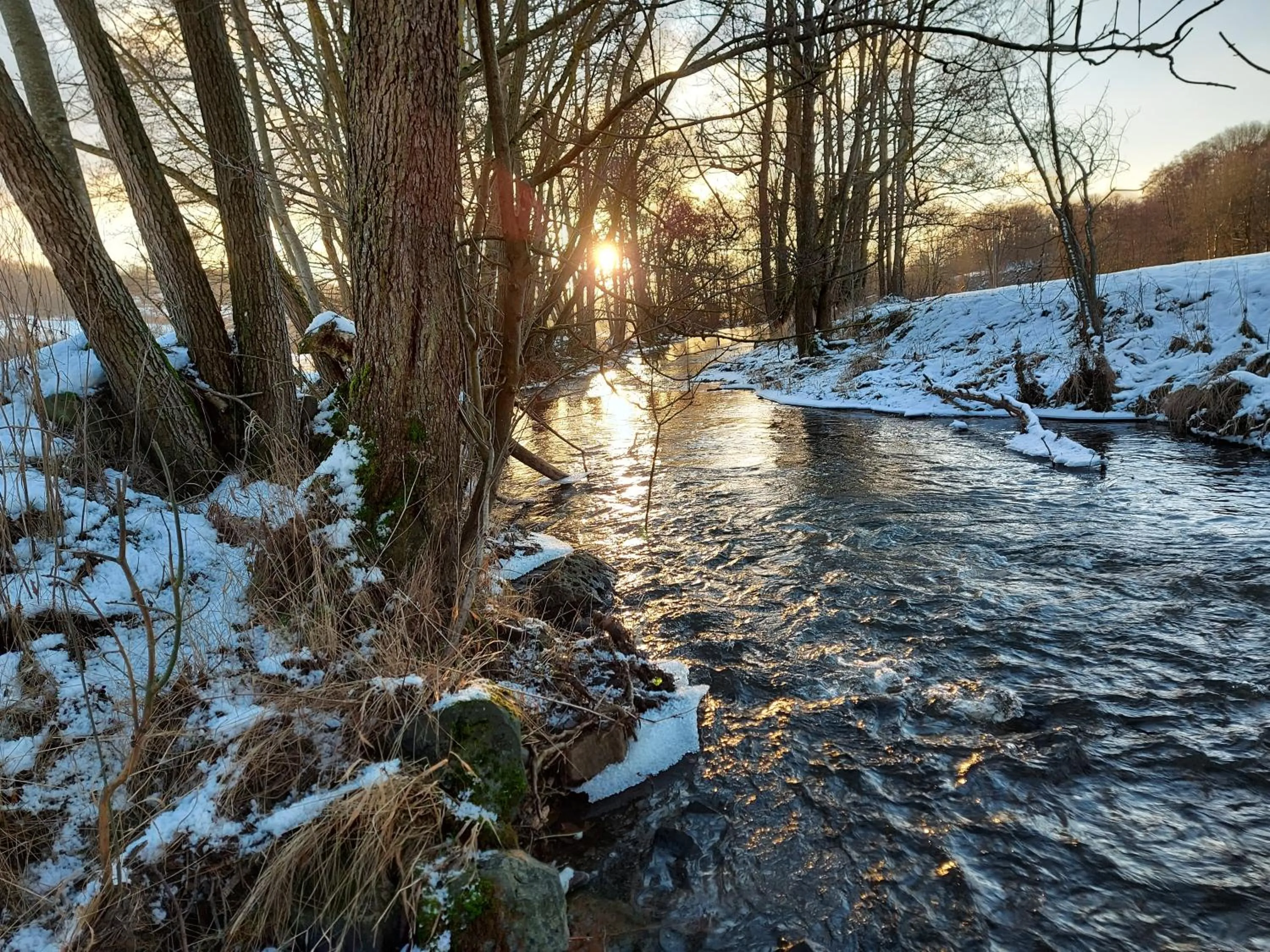 Staff in Gästehaus Hochrhönblick